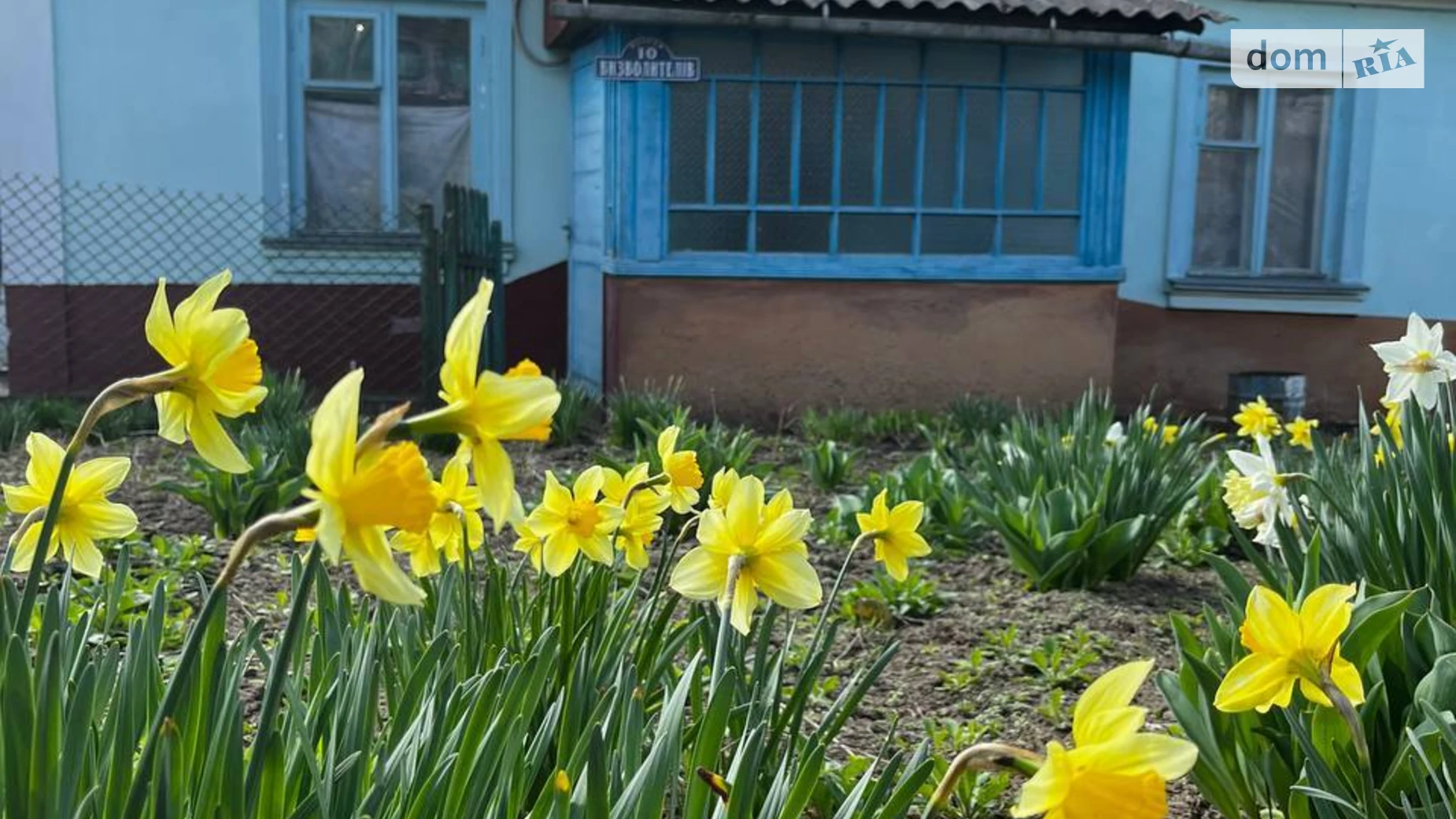 вулиця Визволителів Бабин, цена: 35000 $ - фото 2