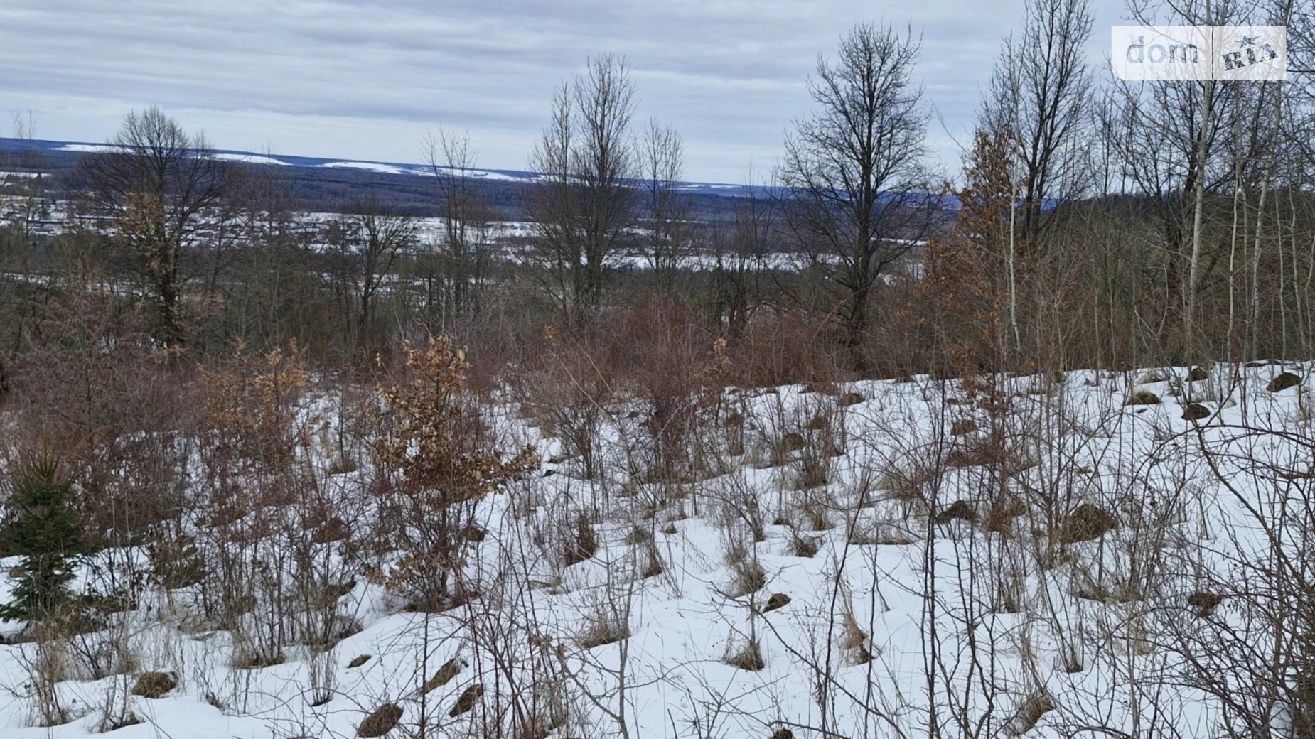 Степана Бандери Жураки, цена: 39150 $ - фото 3