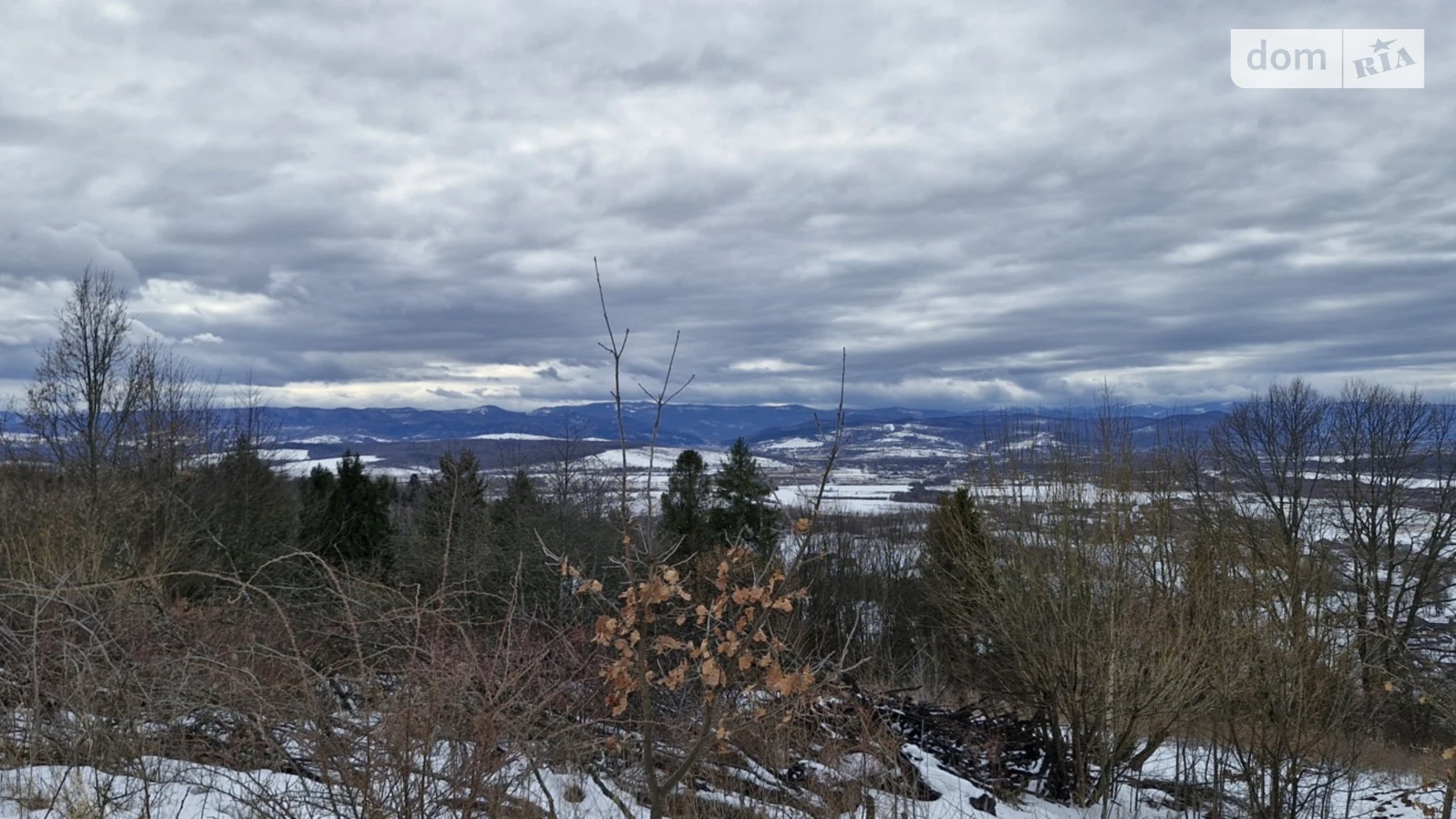 Степана Бандери Жураки, цена: 39150 $ - фото 5