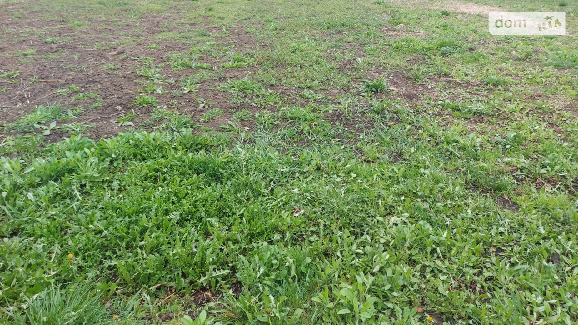 ул. Немировская Винницкие Хутора, цена: 46000 $ - фото 3