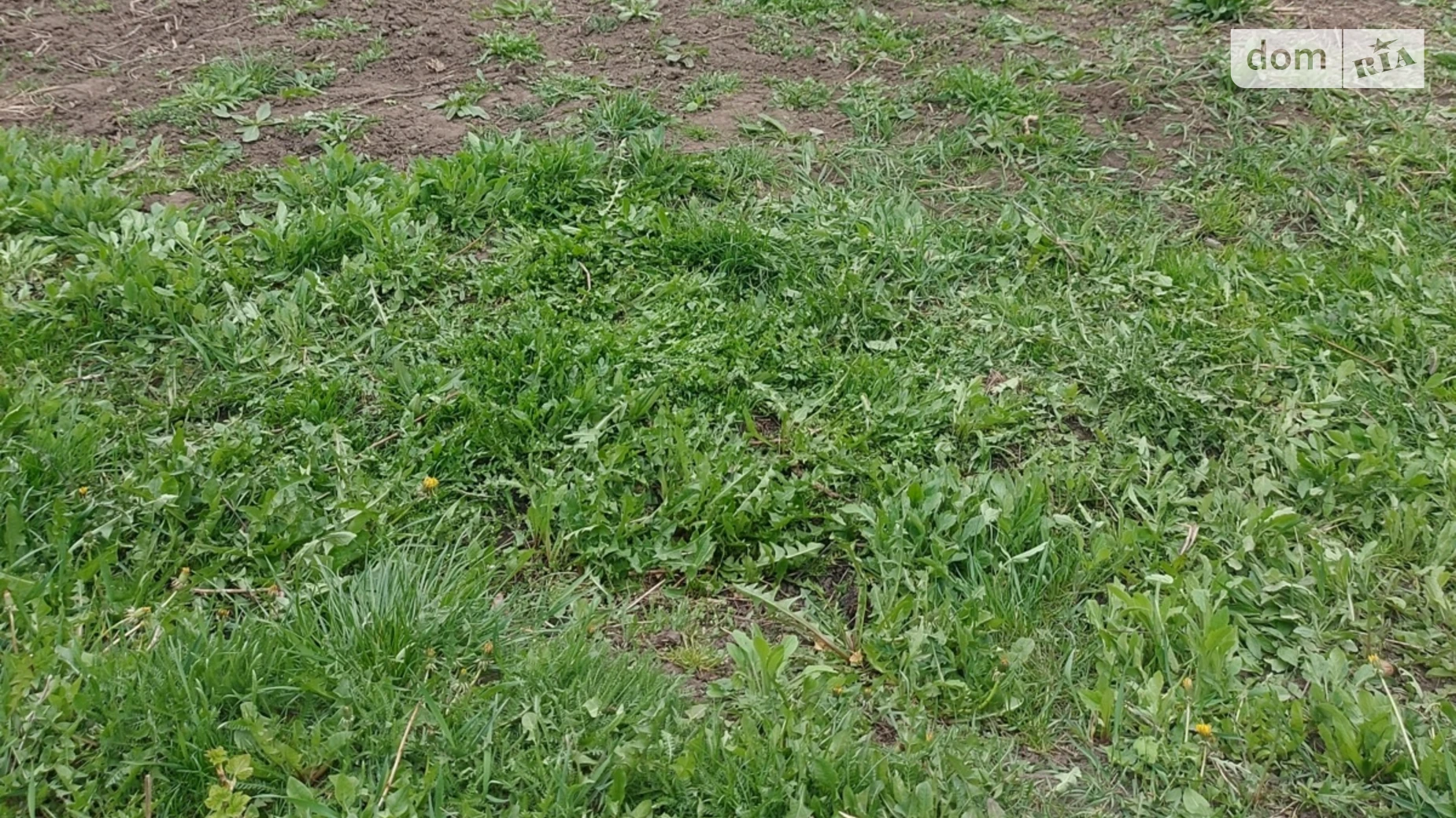 ул. Немировская Винницкие Хутора, цена: 46000 $ - фото 5