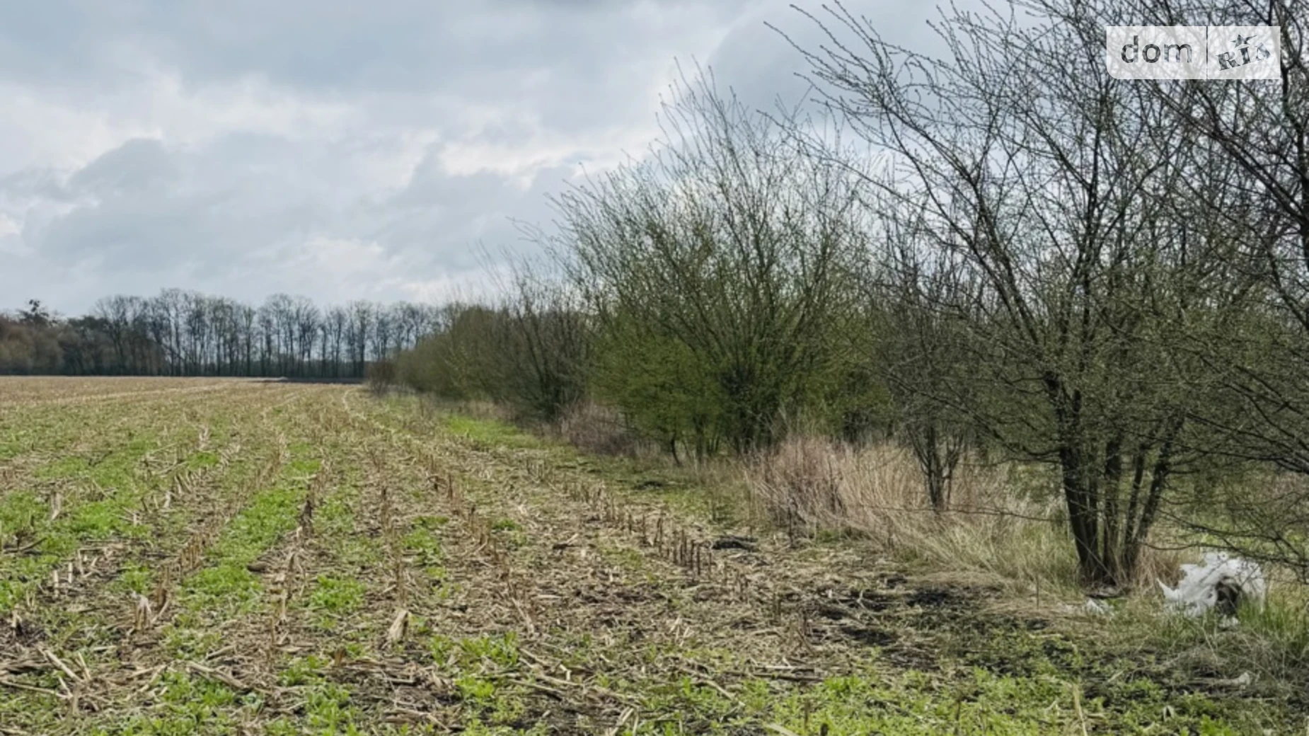 Продается земельный участок 70 соток в Винницкой области, цена: 79999 $ - фото 2