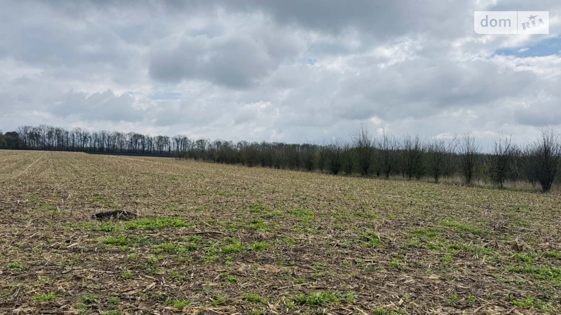 Продается земельный участок 70 соток в Винницкой области, цена: 79999 $ - фото 5