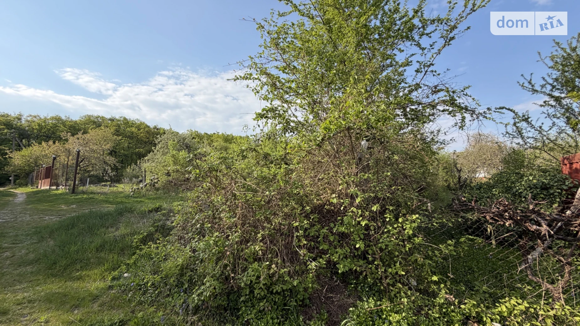 Продается земельный участок 5.93 соток в Закарпатской области, цена: 16000 $ - фото 4