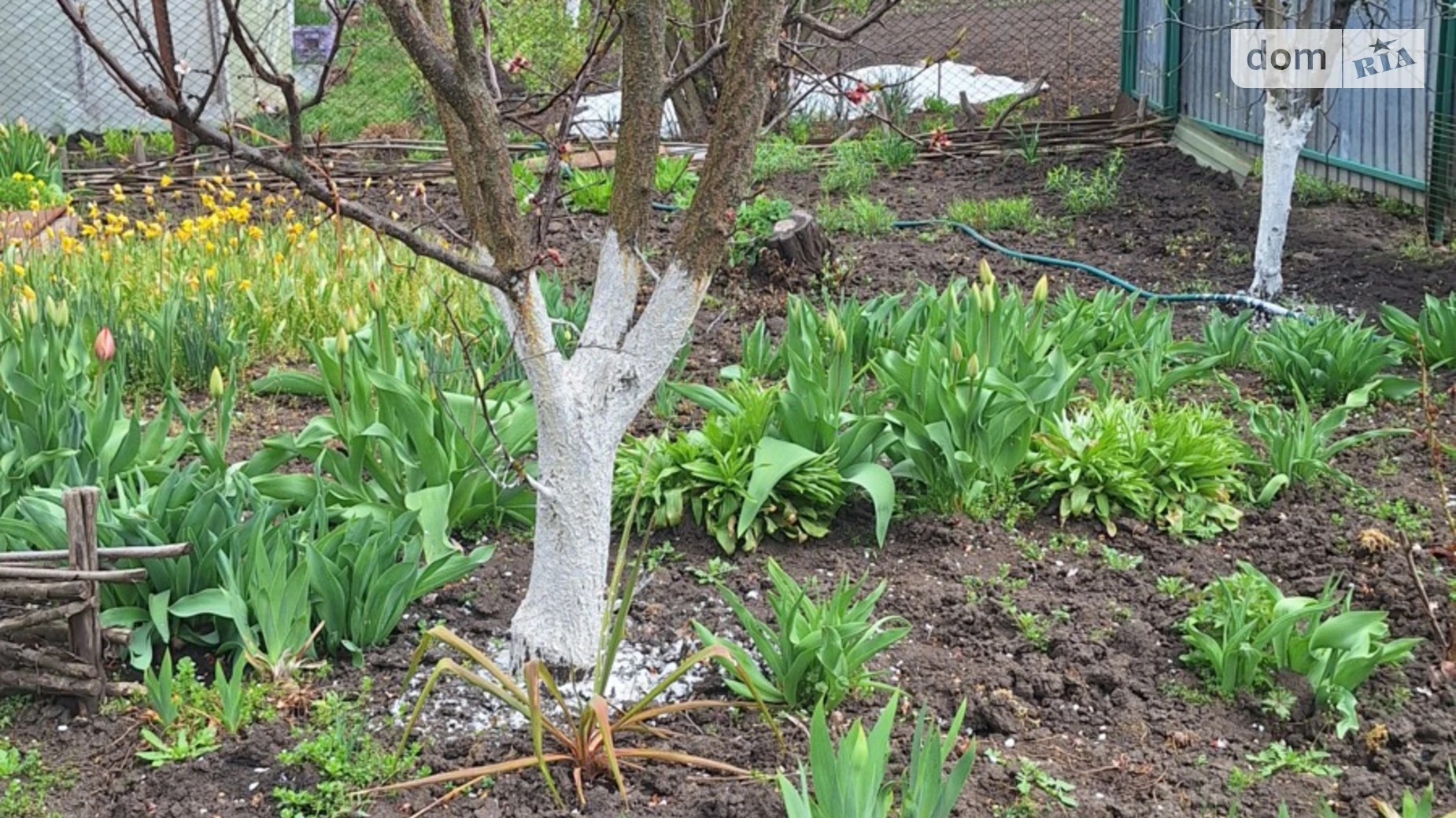 Продается дом на 2 этажа 170.2 кв. м с верандой, цена: 100000 $ - фото 5