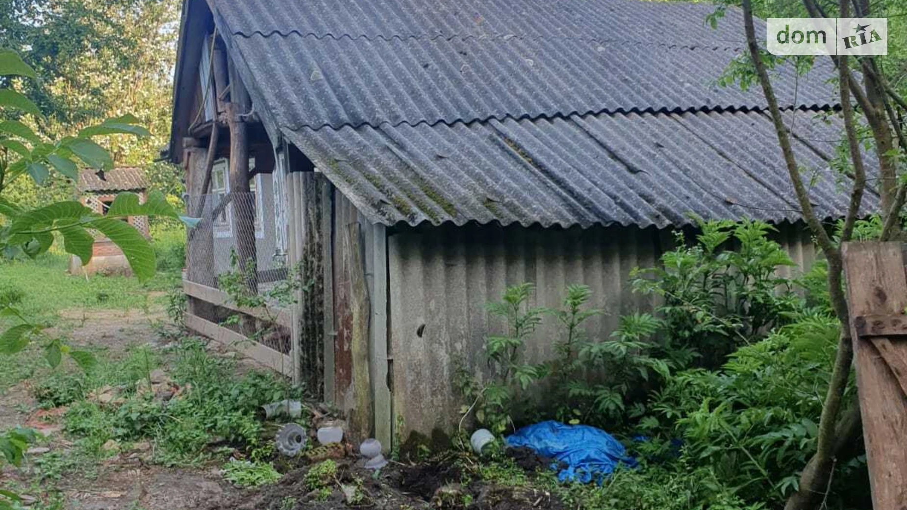 Продается земельный участок 15 соток в Черновицкой области, цена: 300000 грн - фото 4