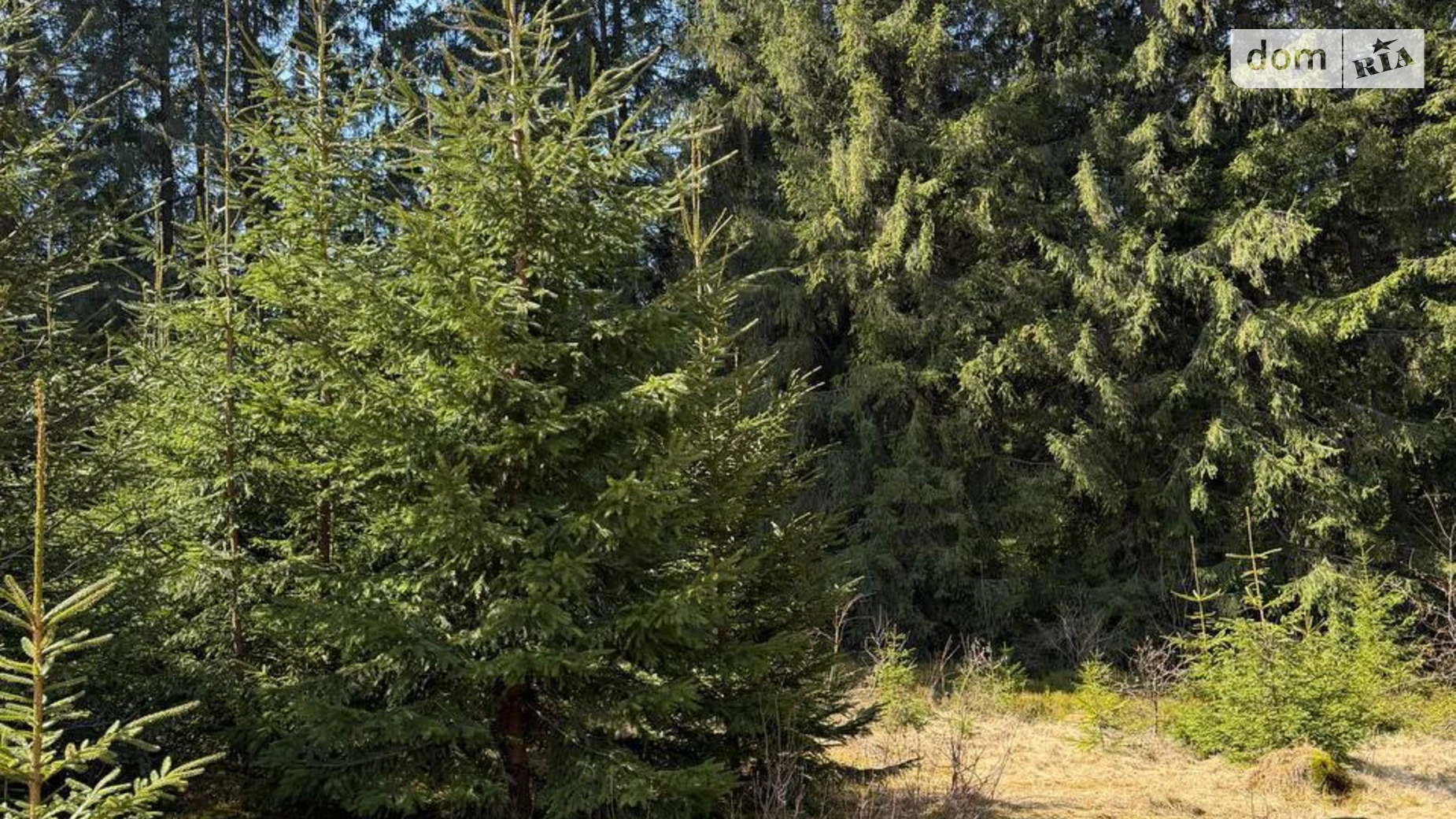 Продается земельный участок 105.7 соток в Ивано-Франковской области, цена: 220000 $ - фото 2
