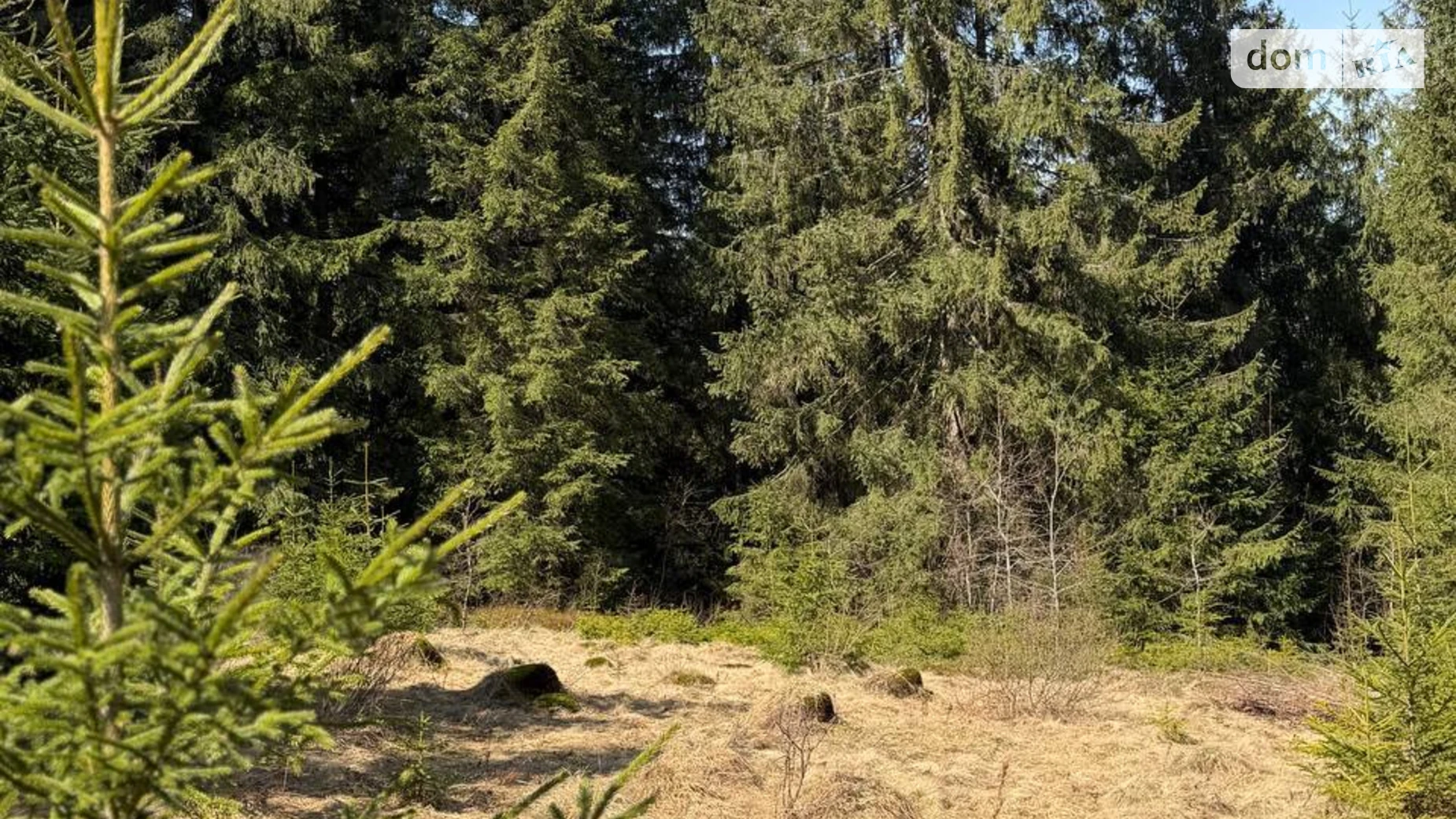 Продается земельный участок 105.7 соток в Ивано-Франковской области, цена: 220000 $ - фото 3