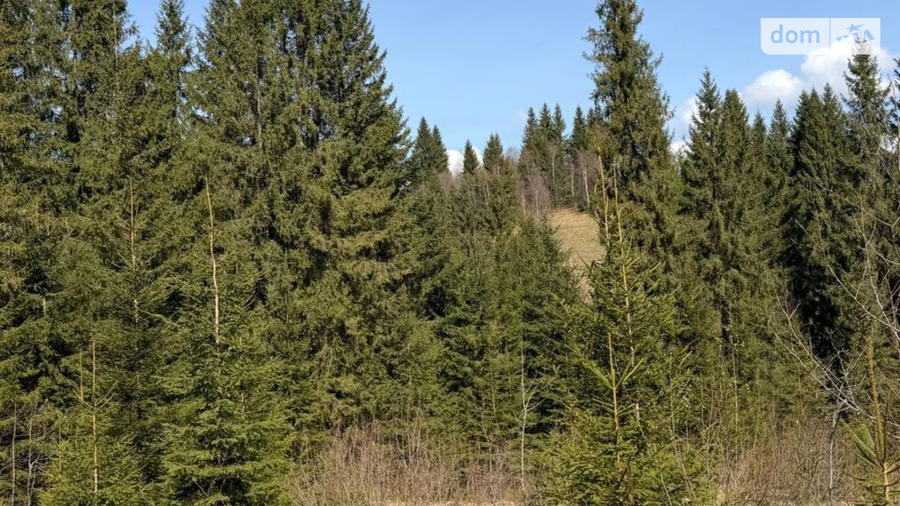 Продается земельный участок 105.7 соток в Ивано-Франковской области, цена: 220000 $ - фото 4