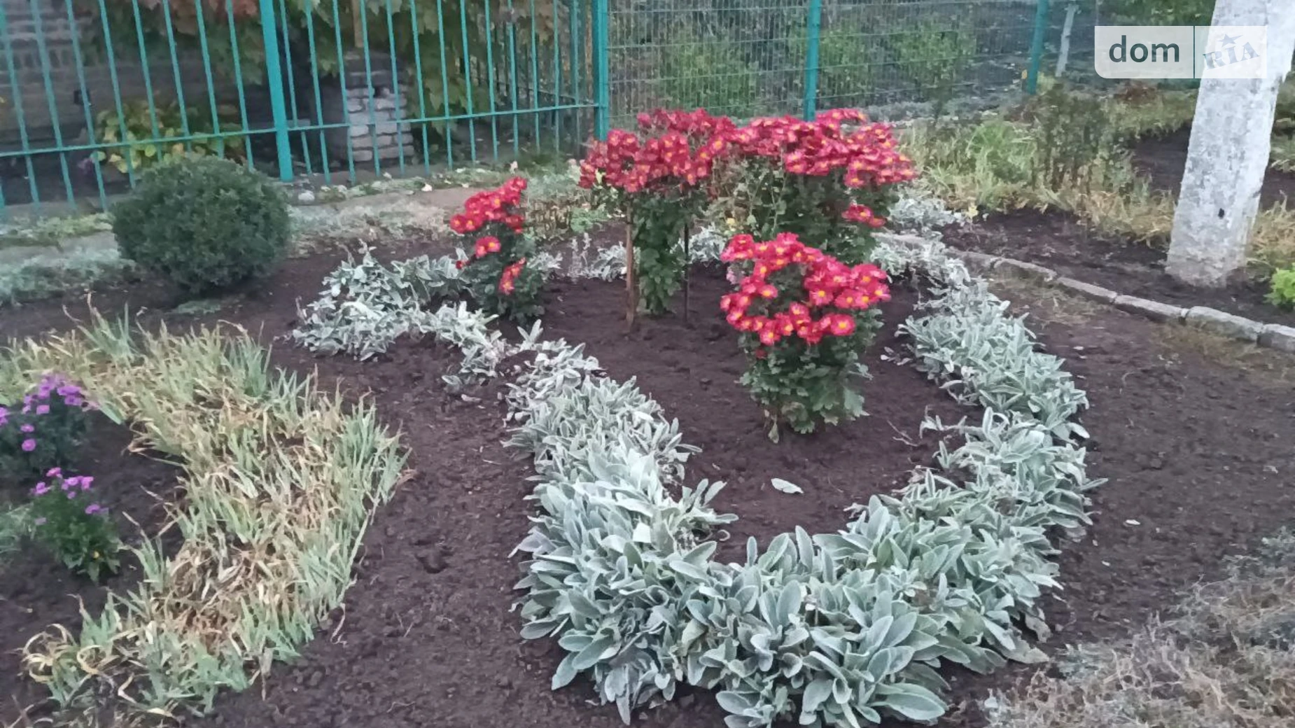 Продается одноэтажный дом 90 кв. м с верандой, цена: 23000 $ - фото 4