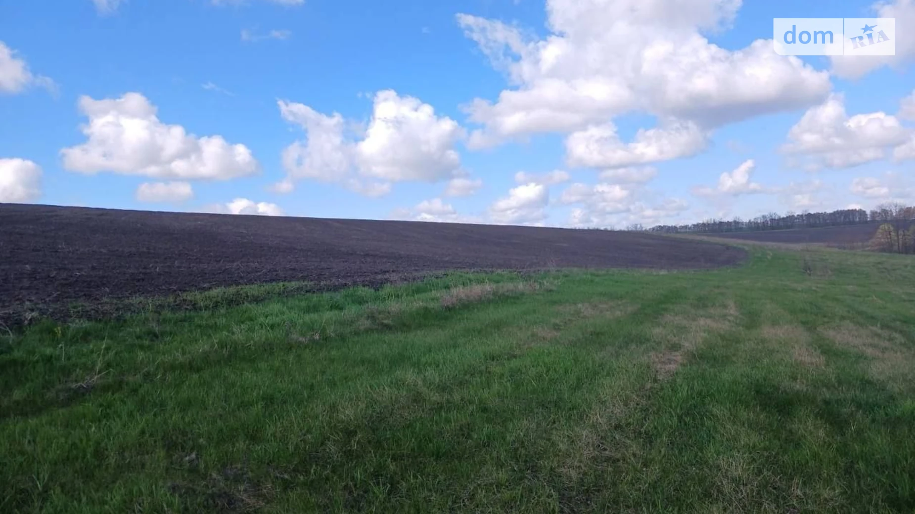 Сдается в аренду земельный участок 12.4226 соток в  области, цена: 34323 грн - фото 2