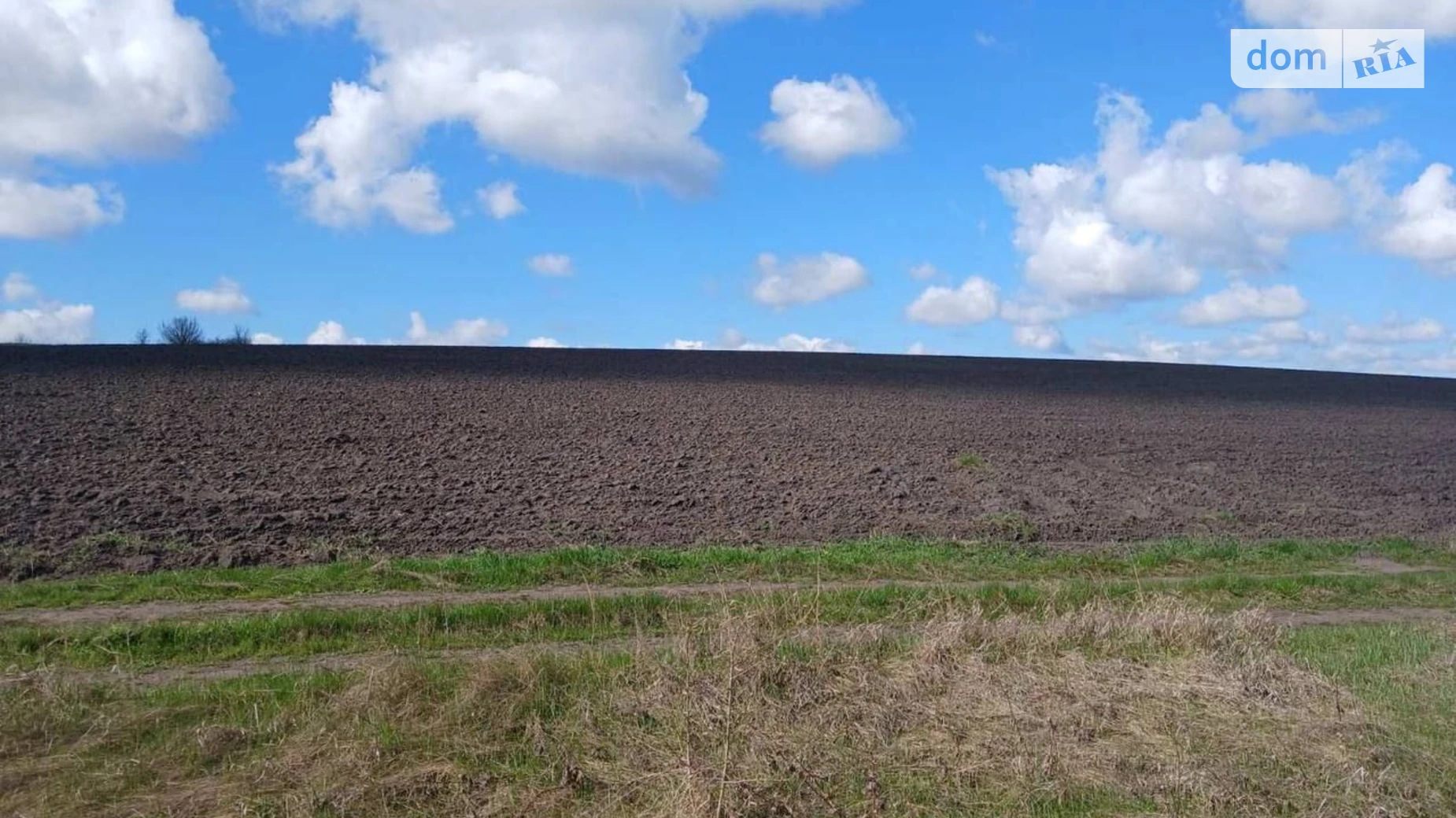 Сдается в аренду земельный участок 12.4226 соток в  области, цена: 34323 грн - фото 3
