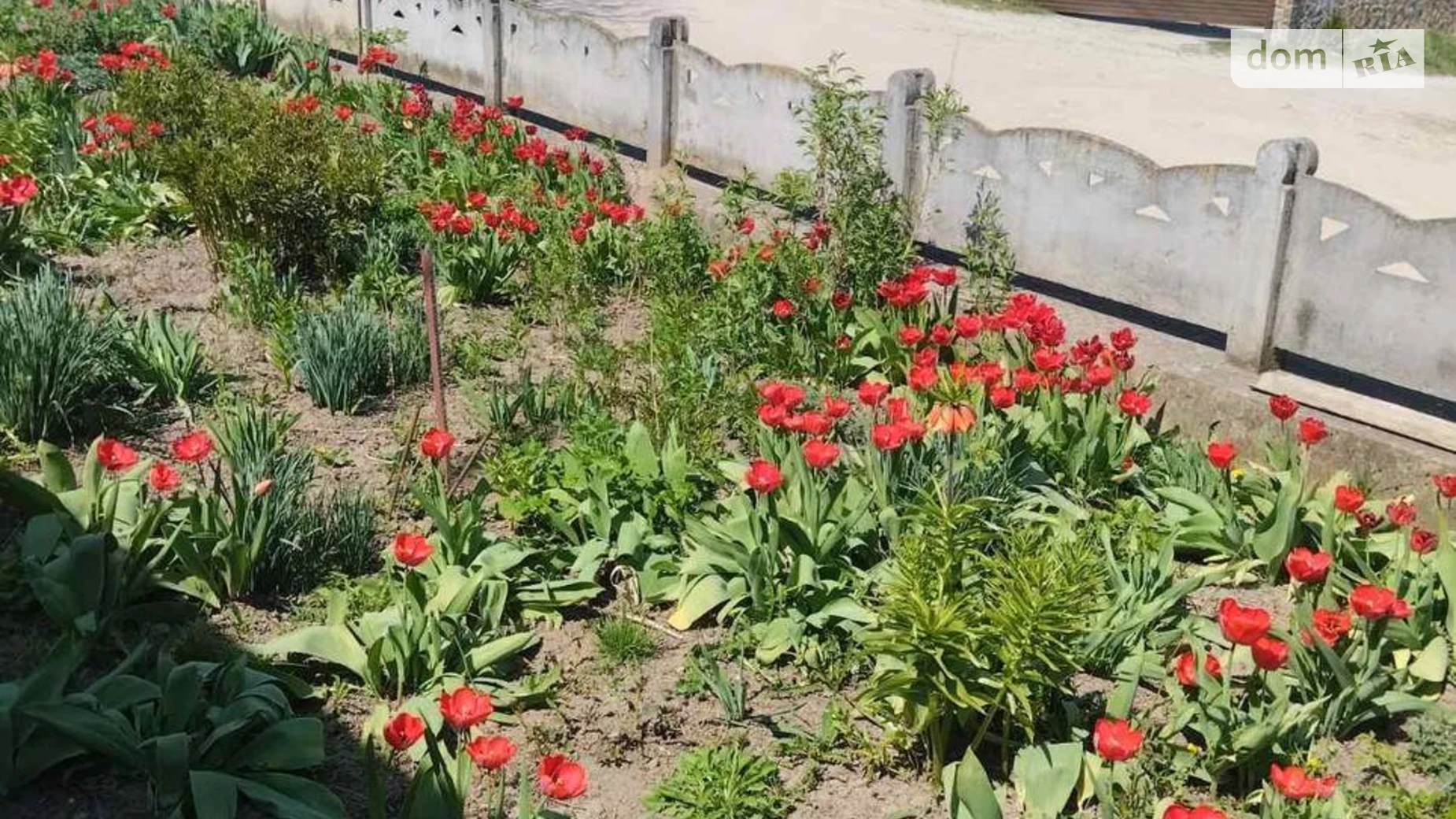 вулиця Затишна Слобода-Шаргородська, цена: 6500 $ - фото 2