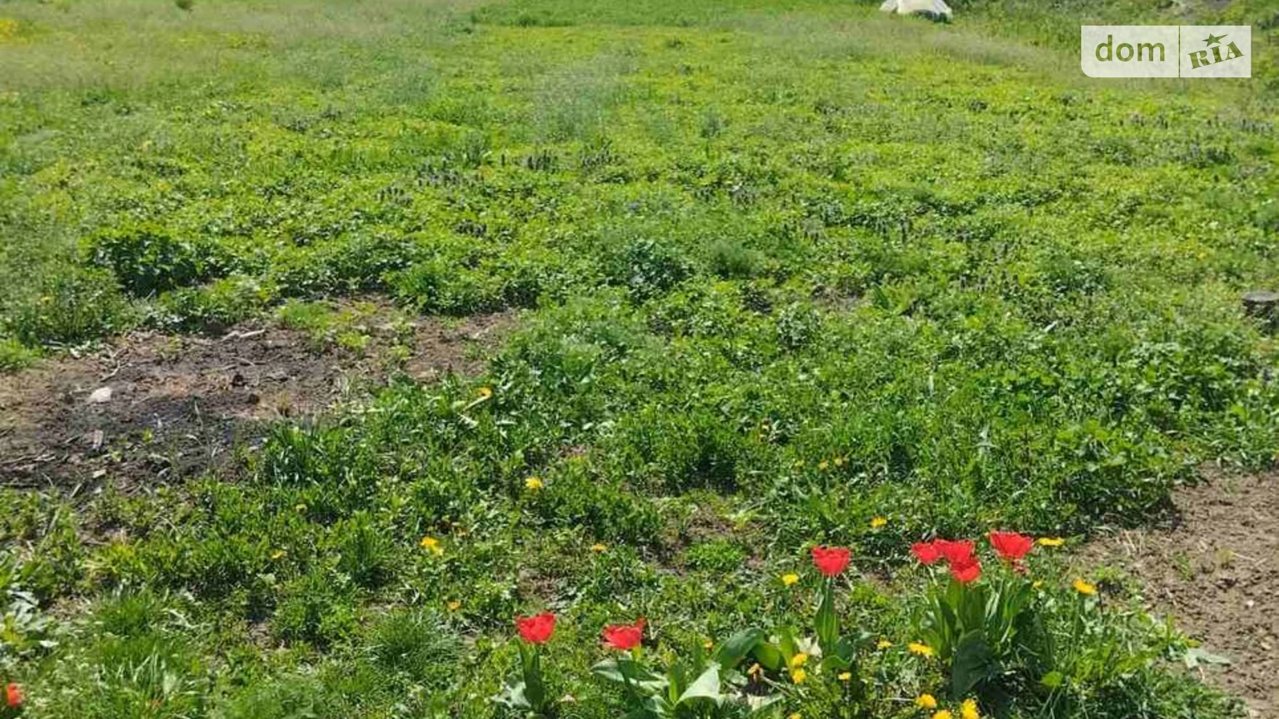 вулиця Затишна Слобода-Шаргородська, цена: 6500 $ - фото 4