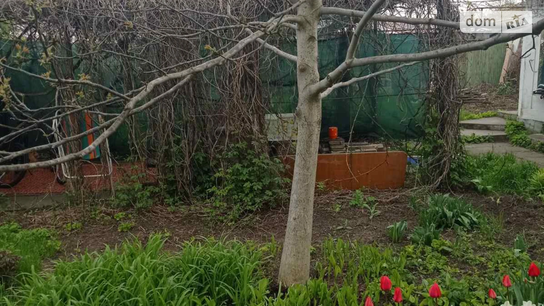 Продается одноэтажный дом 32.1 кв. м с верандой, цена: 85000 $ - фото 3