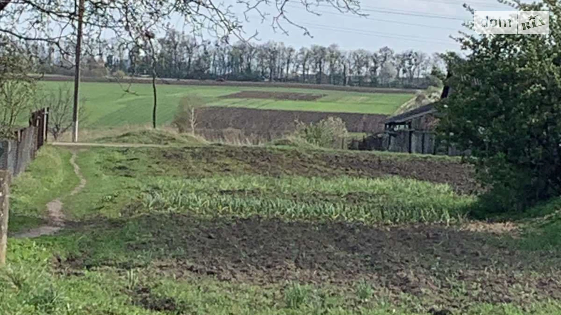 вулиця Івана Франка Репнов, цена: 8500 $ - фото 4