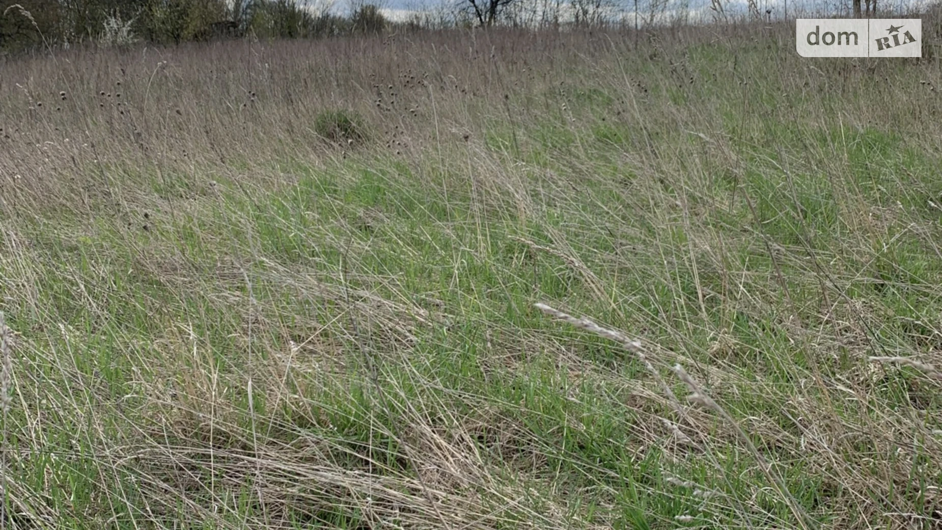 Продается земельный участок 8 соток в Хмельницкой области, цена: 10000 $ - фото 2