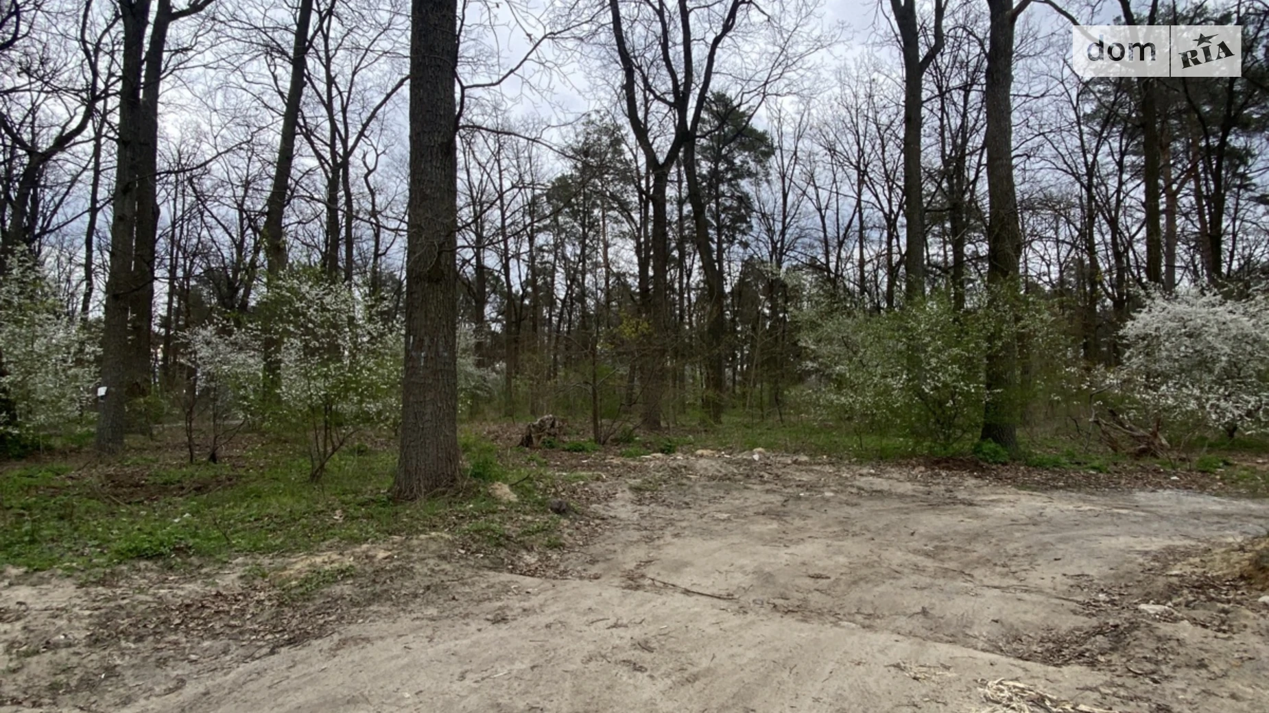 ул. Гоголя Ирпень, цена: 120000 $ - фото 3