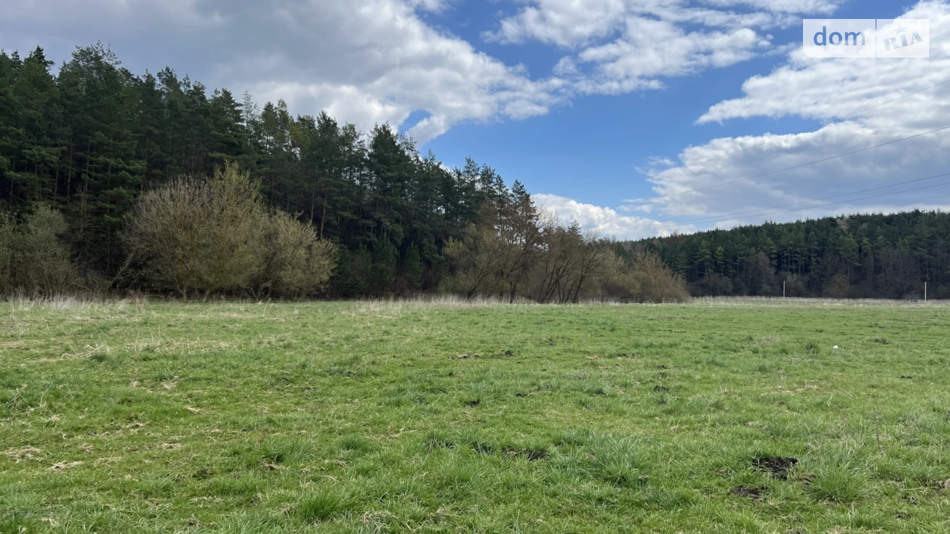 Ивачев Долишний, цена: 150000 $ - фото 3