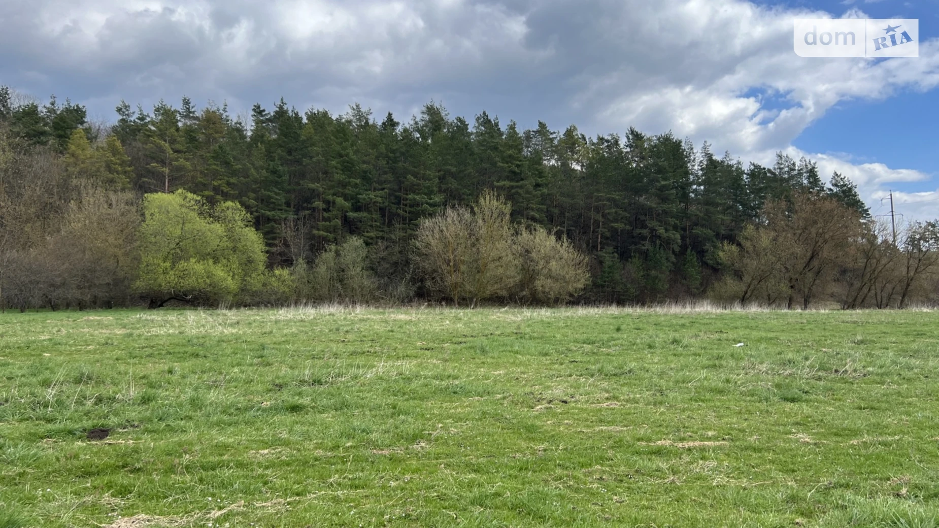 Ивачев Долишний, цена: 150000 $ - фото 2