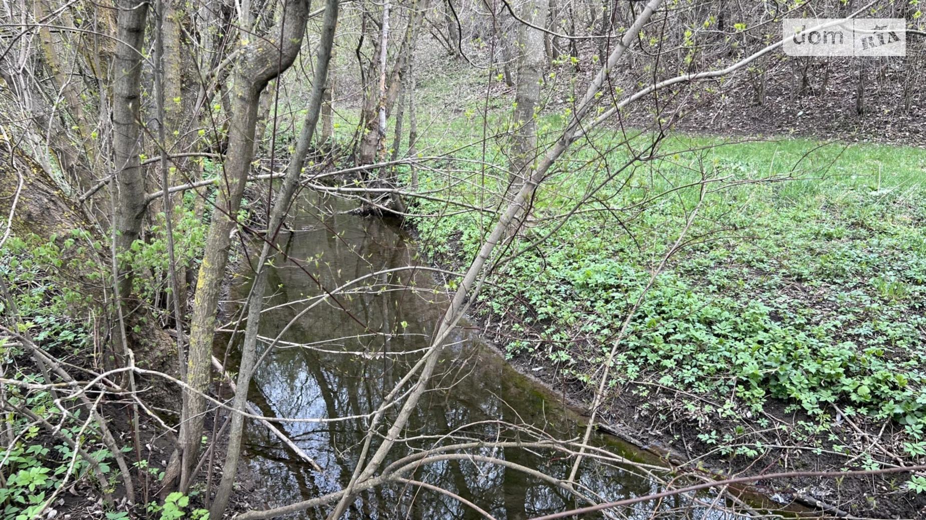 Ивачев Долишний, цена: 150000 $ - фото 4