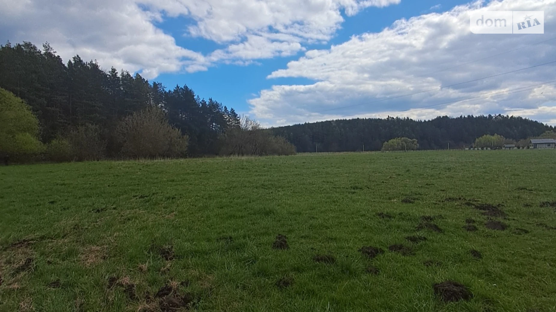 Ивачев Долишний, цена: 150000 $ - фото 3