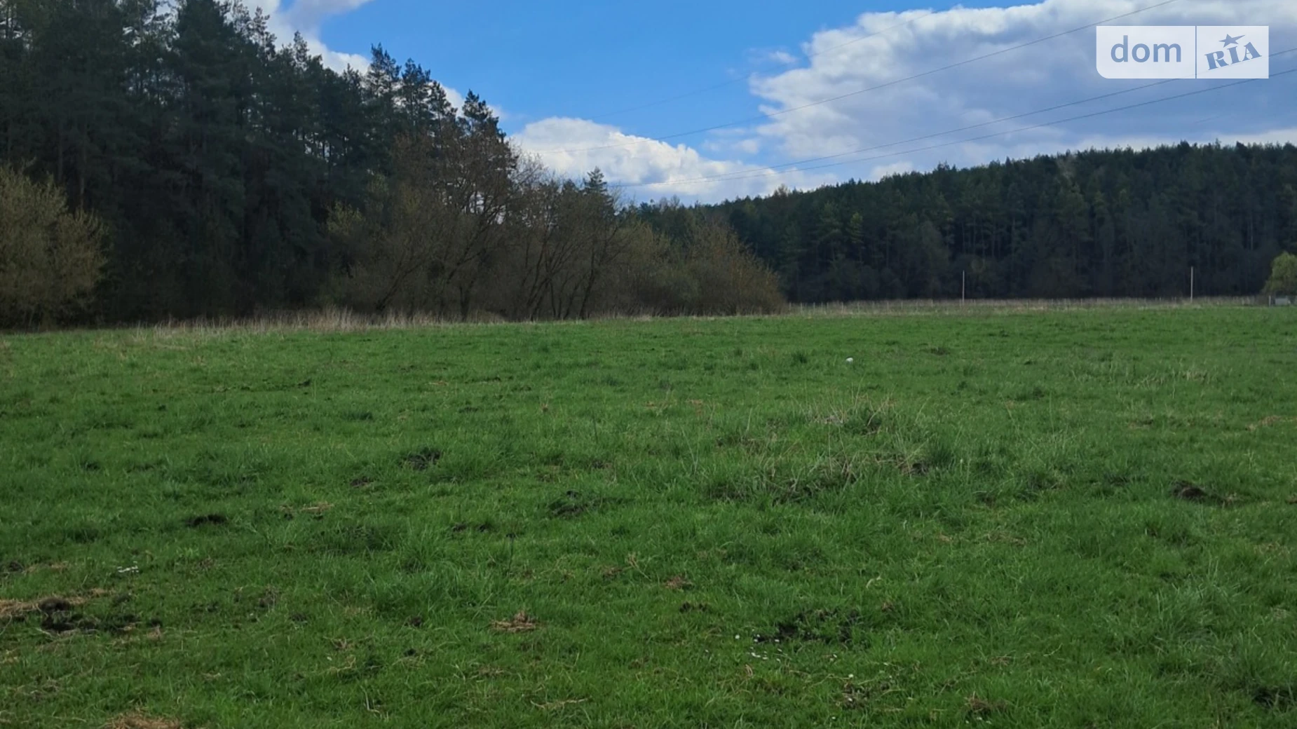 Ивачев Долишний, цена: 150000 $ - фото 4