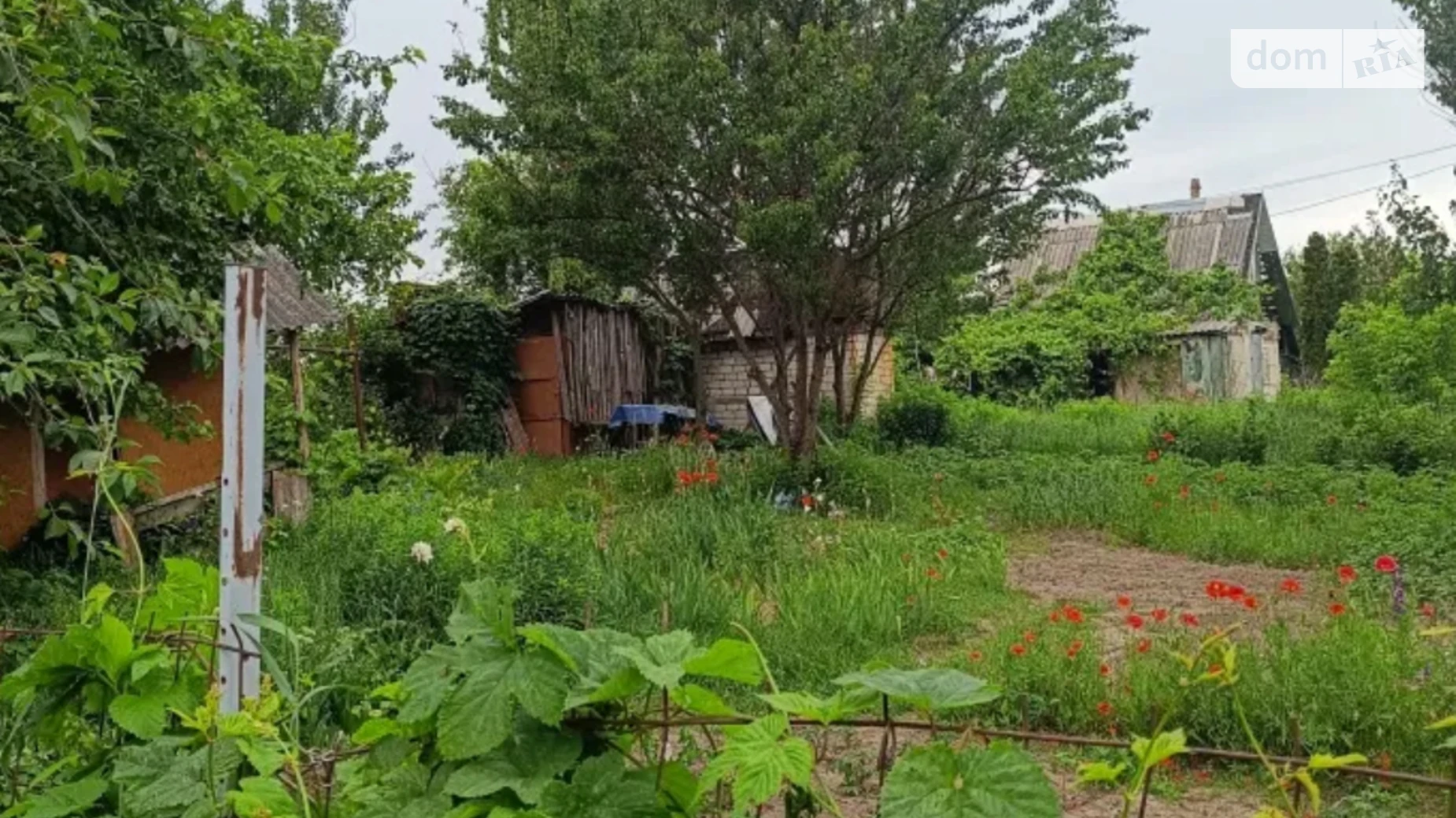 Продается земельный участок 4.16 соток в Черниговской области, цена: 4500 $ - фото 2