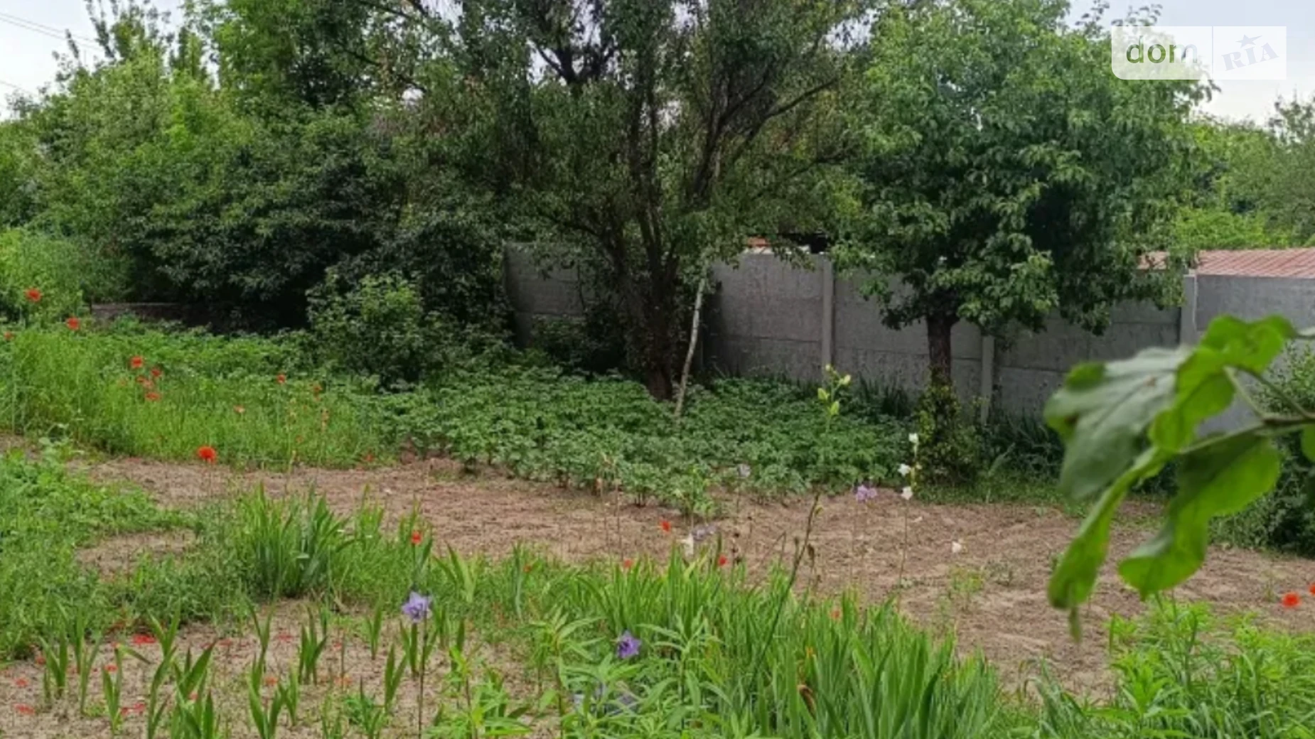 Продается земельный участок 4.16 соток в Черниговской области, цена: 4500 $ - фото 3