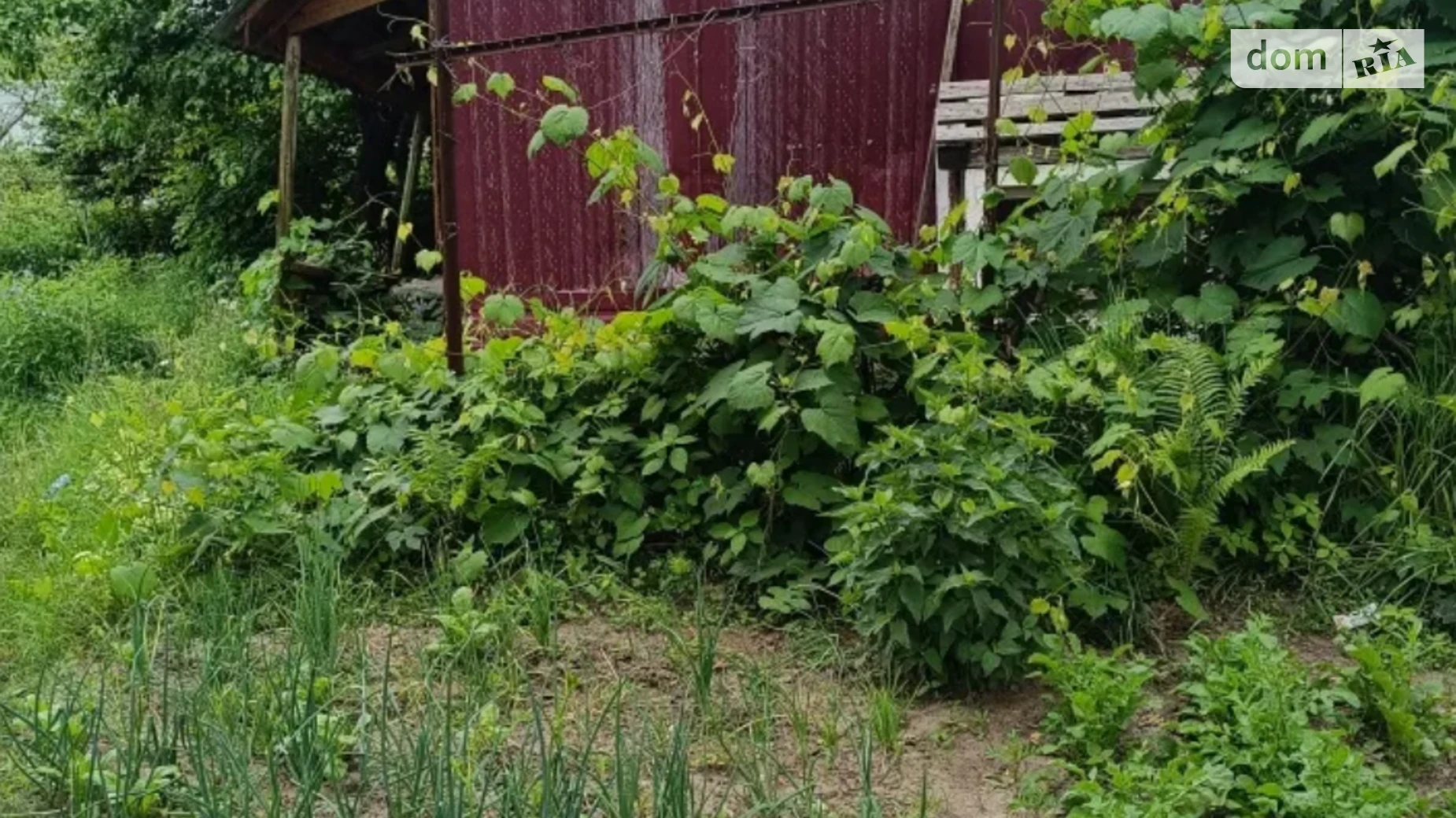 Продается земельный участок 4.16 соток в Черниговской области, цена: 4500 $ - фото 4