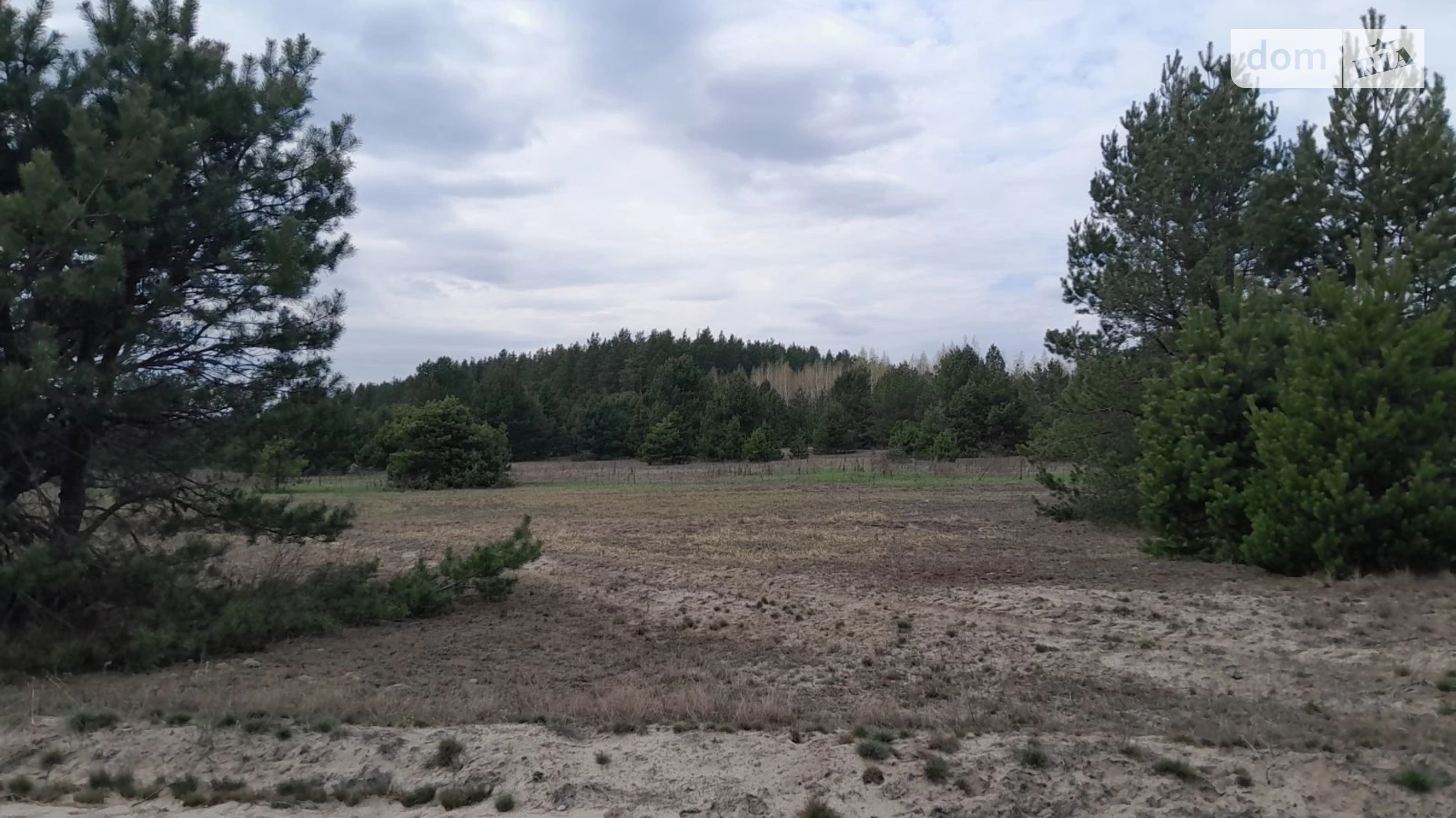 Раковичі, цена: 742 грн - фото 2