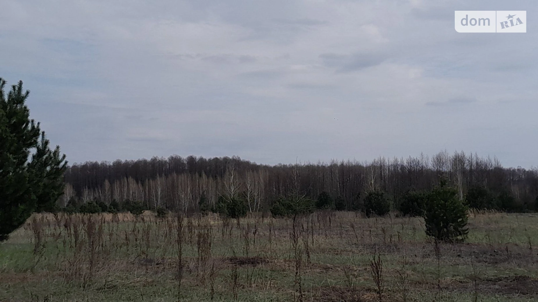 Раковичі, цена: 742 грн - фото 3