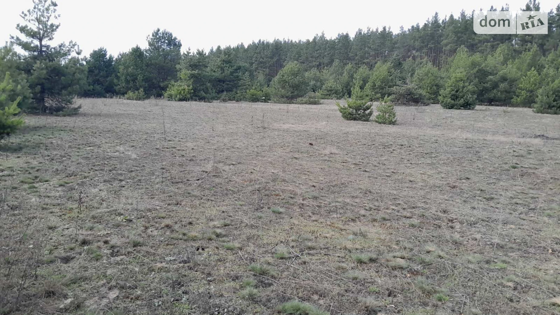 Раковичі, цена: 1319 грн - фото 2