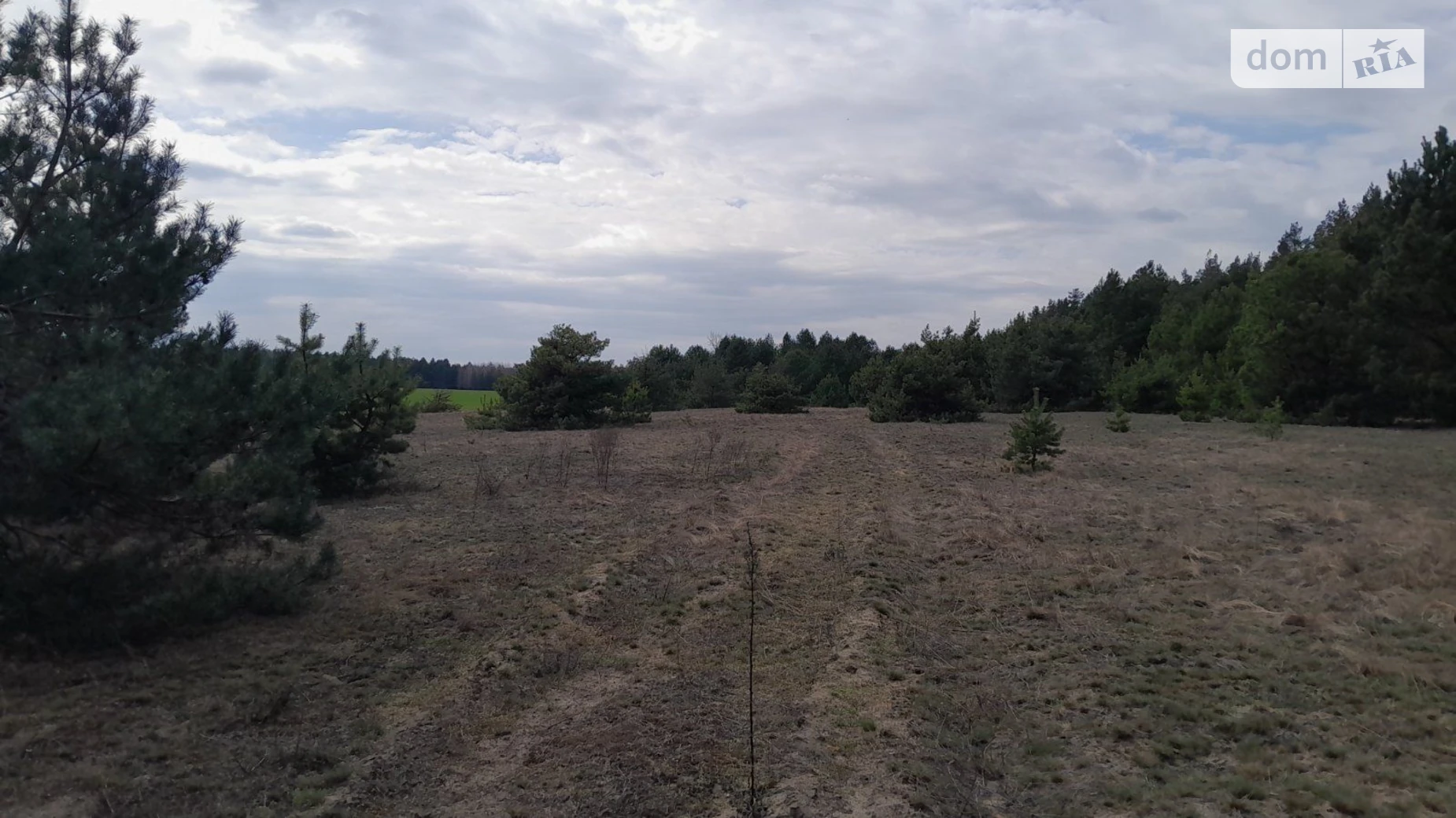 Раковичі, цена: 1319 грн - фото 3