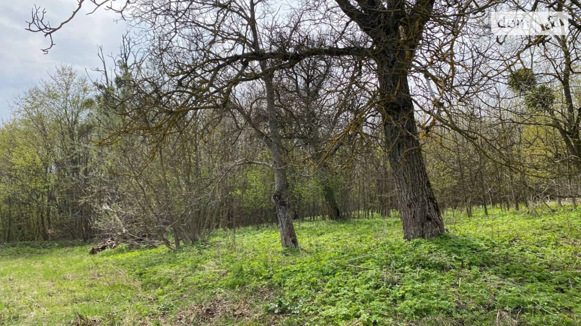 Продается земельный участок 9.36 соток в Тернопольской области, цена: 12600 $ - фото 2