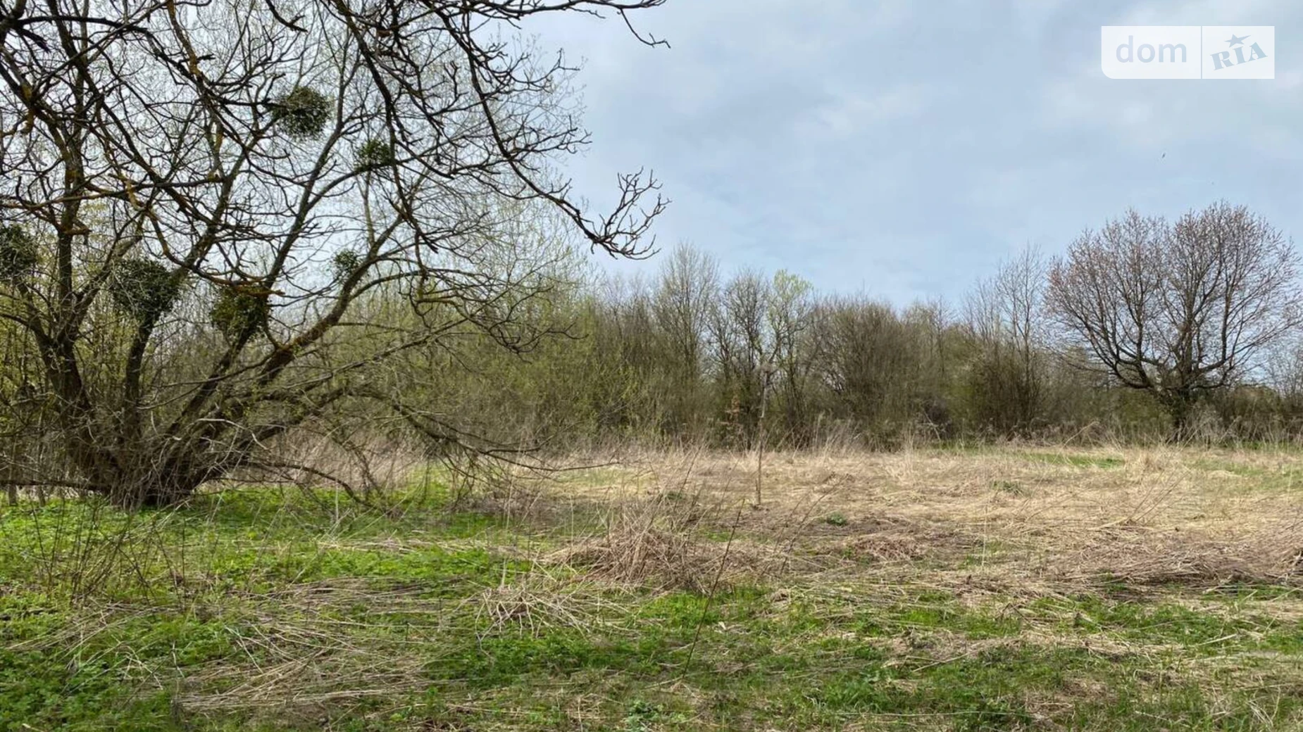 Продается земельный участок 9.36 соток в Тернопольской области, цена: 12600 $ - фото 3