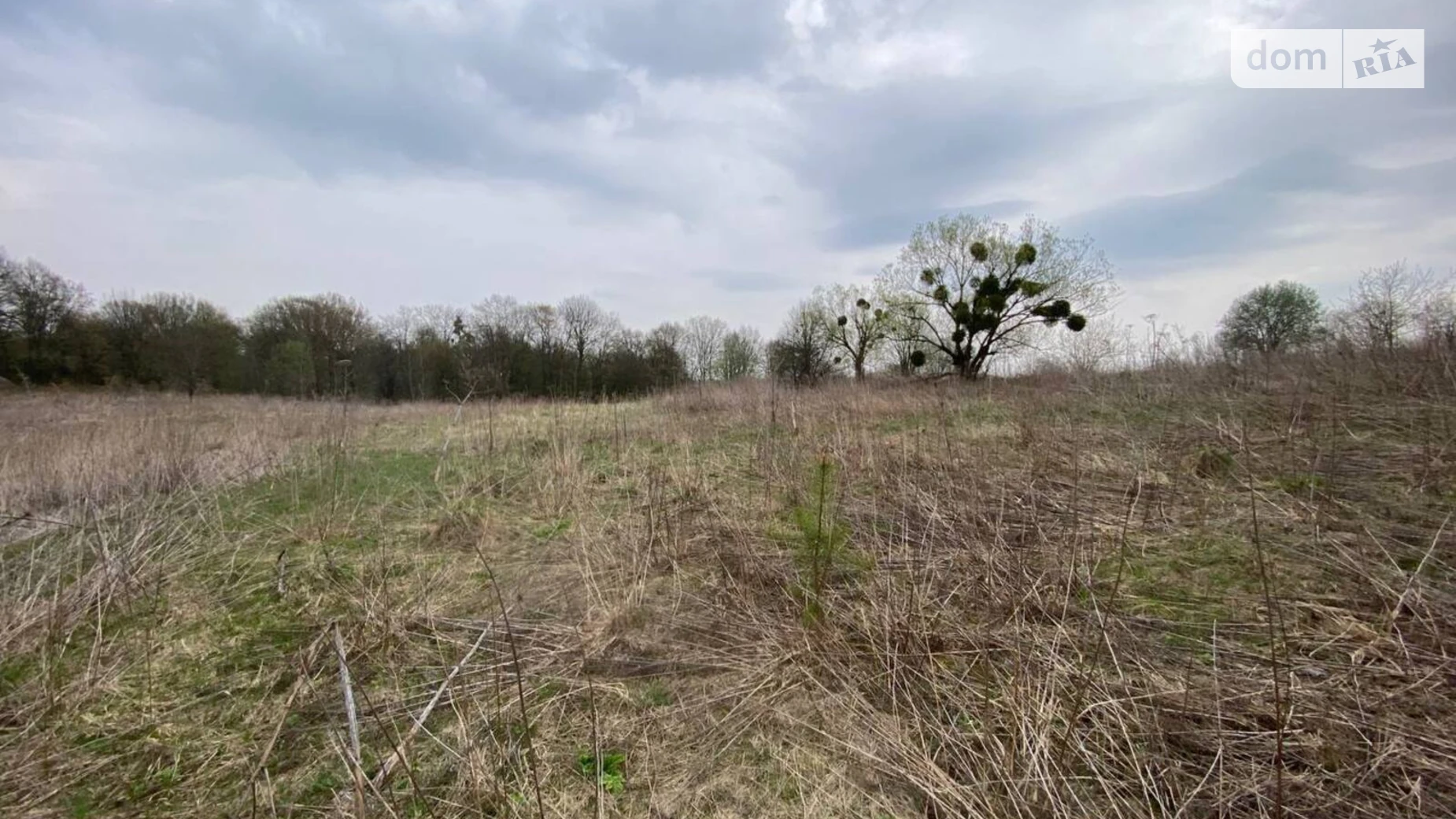 Продается земельный участок 10 соток в Тернопольской области, цена: 10600 $ - фото 5