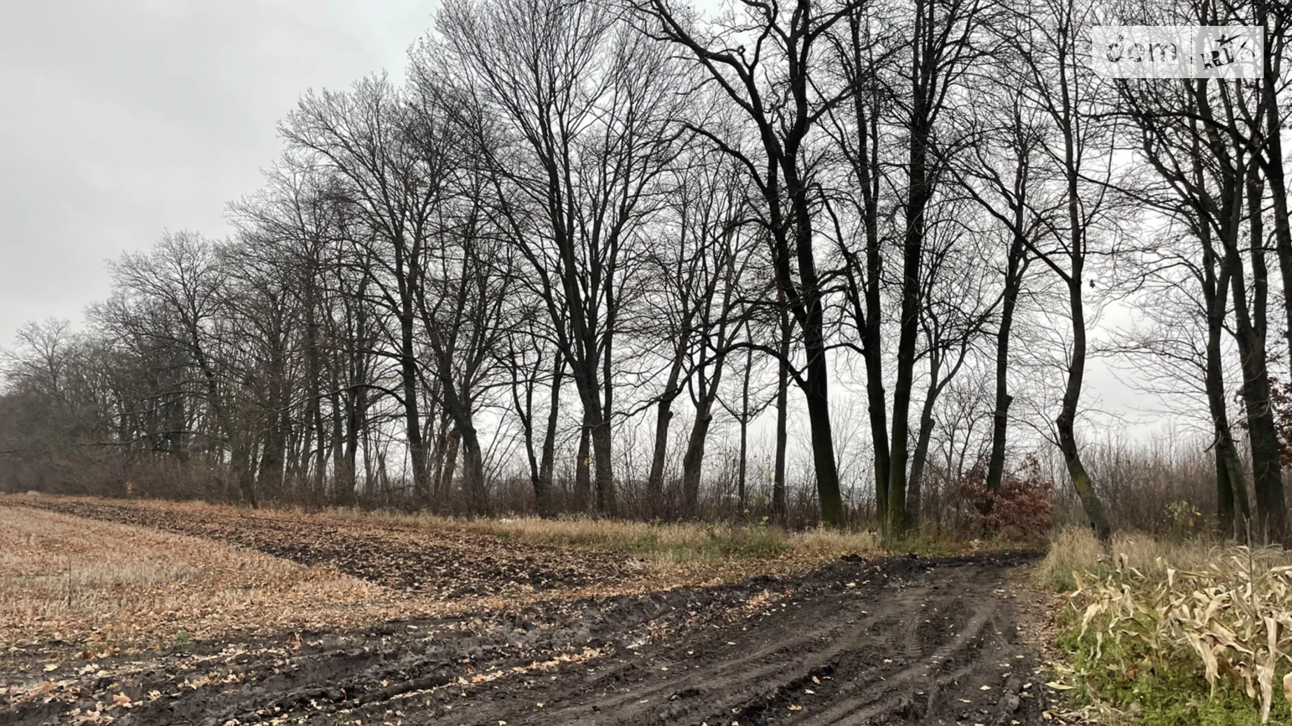 Продается земельный участок 83.18 соток в Винницкой области, цена: 38000 $ - фото 2