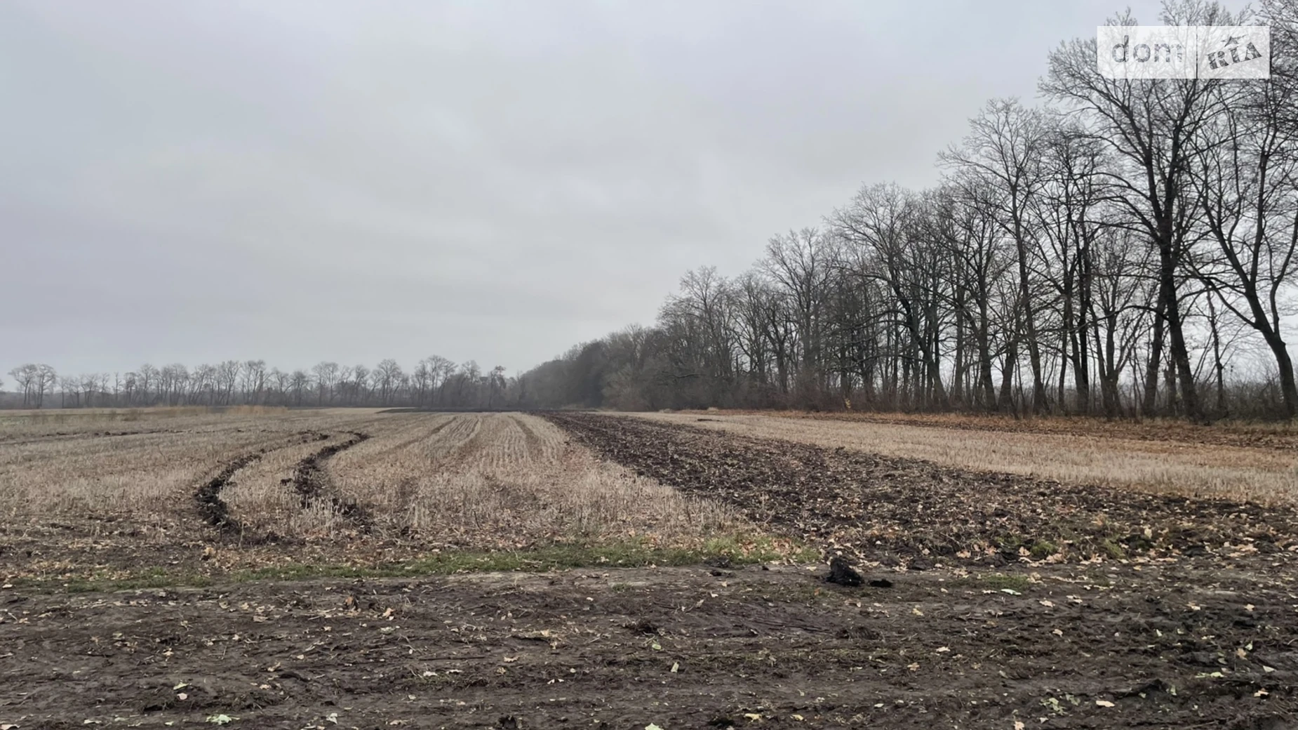 Продается земельный участок 83.18 соток в Винницкой области, цена: 38000 $ - фото 3