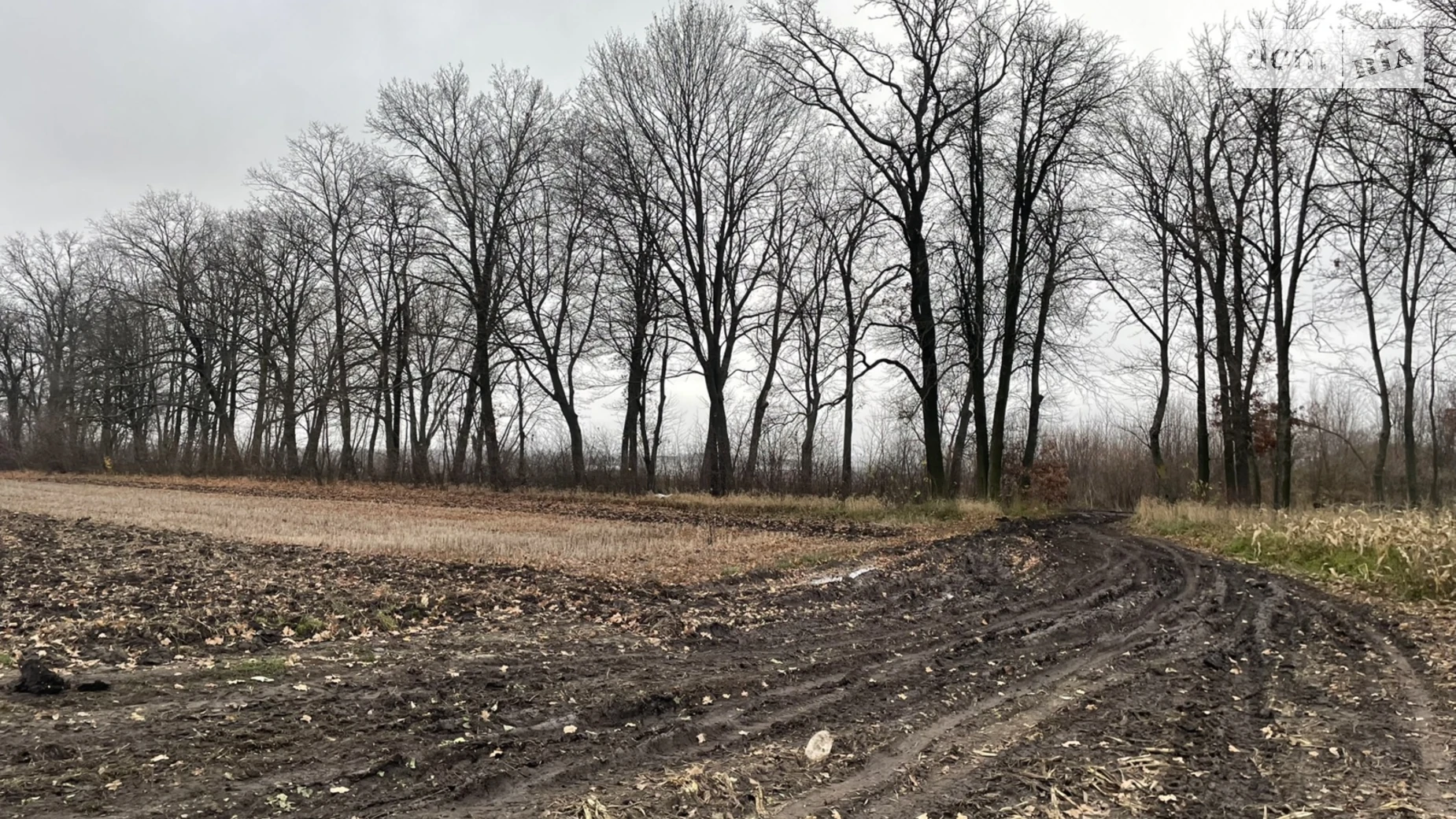 Продается земельный участок 83.18 соток в Винницкой области, цена: 38000 $ - фото 4