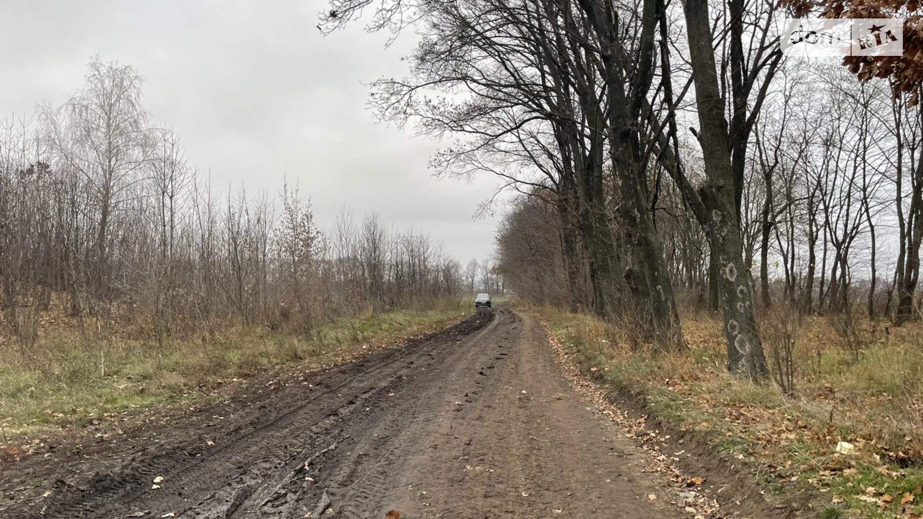 Продается земельный участок 83.18 соток в Винницкой области, цена: 38000 $ - фото 5