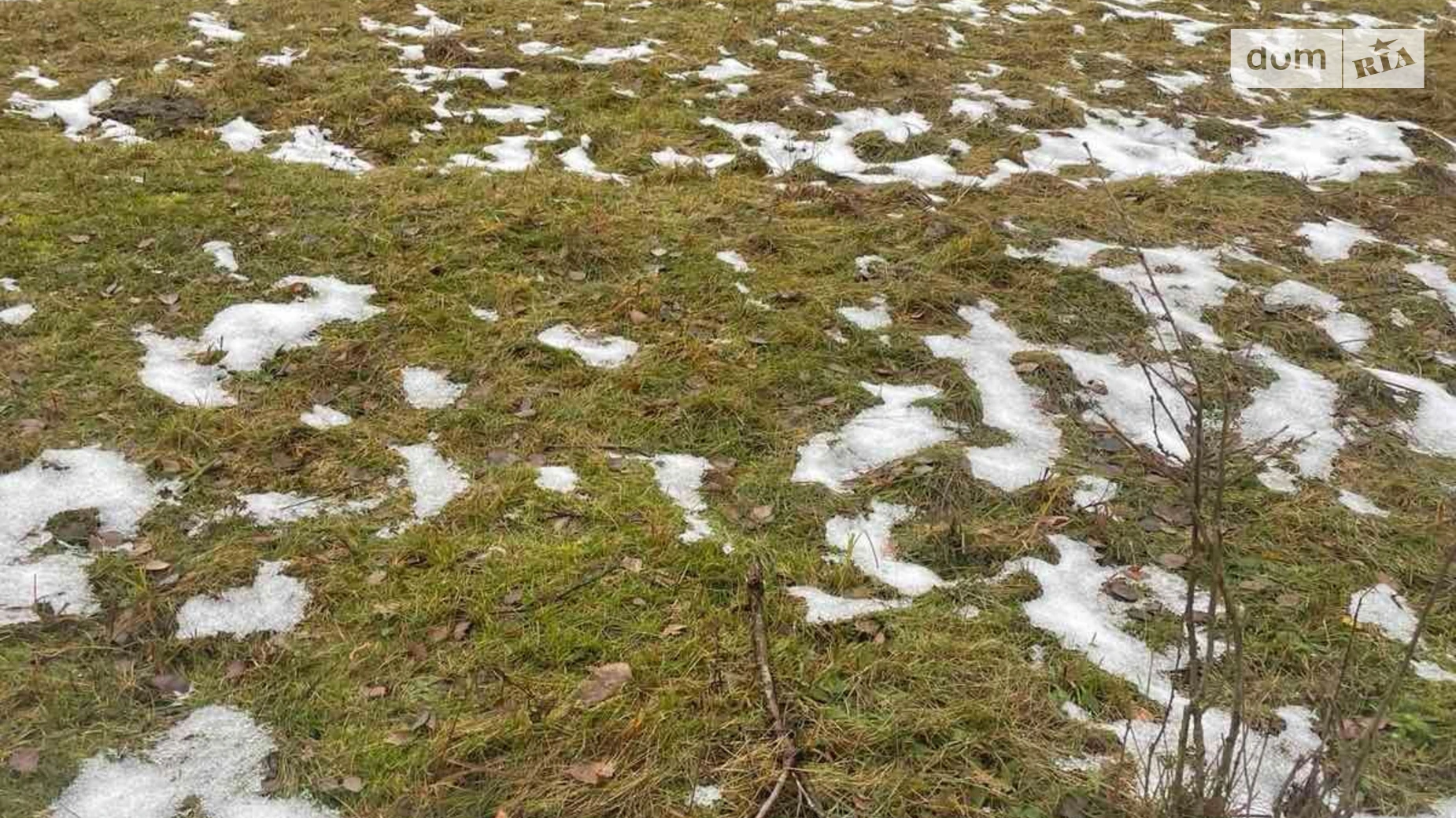 Шайноги, цена: 366 грн - фото 2