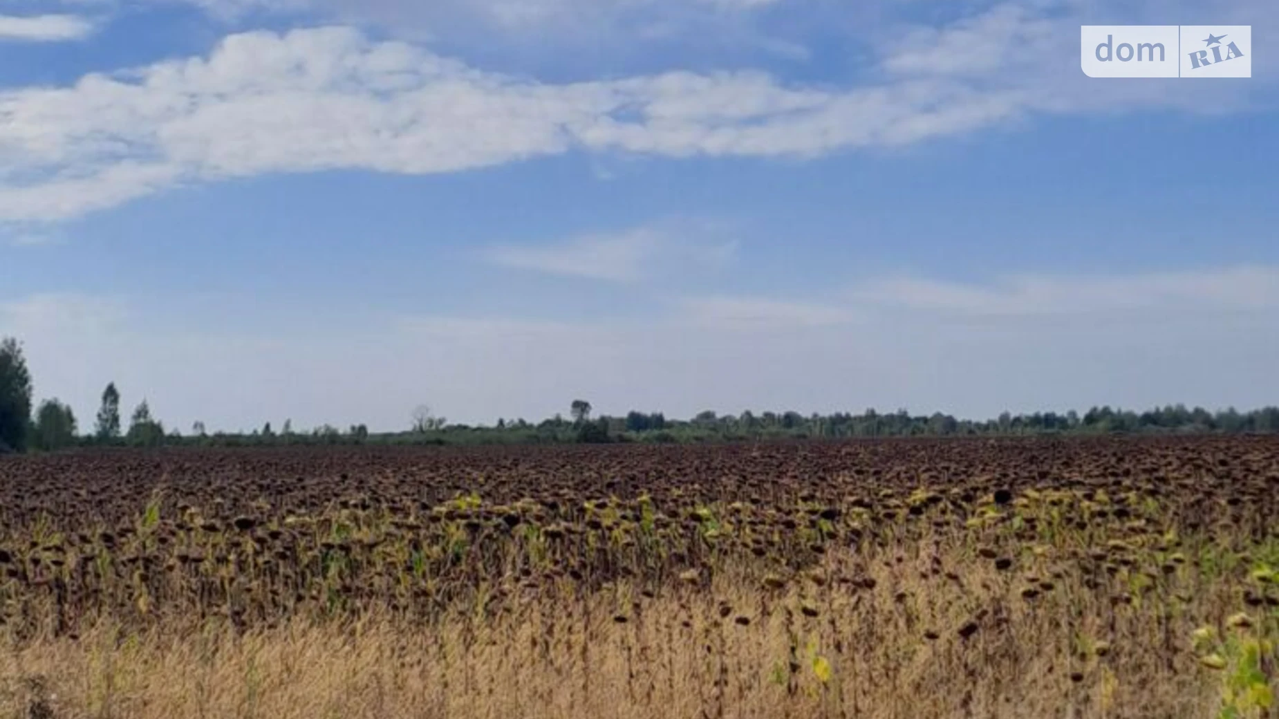 Липляни, цена: 18483 грн - фото 2