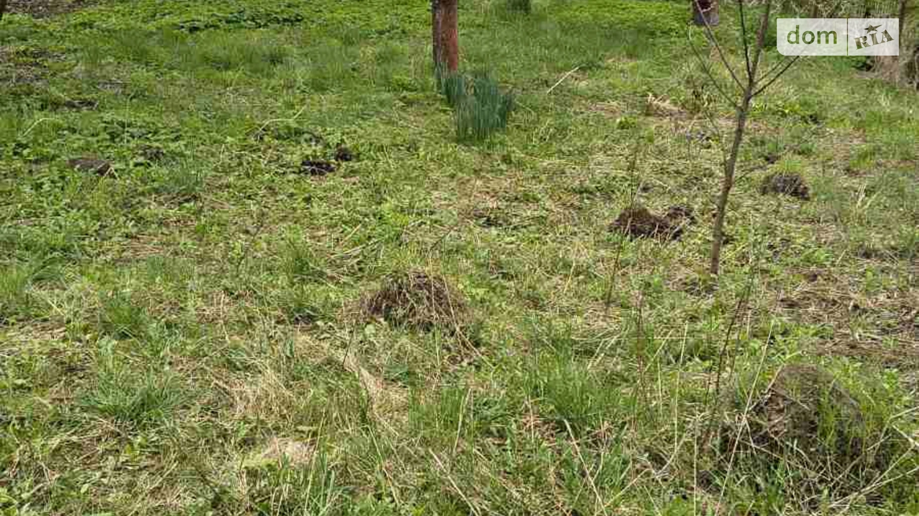 Продається будинок 2 поверховий 73.4 кв. м с басейном, цена: 24000 $ - фото 2