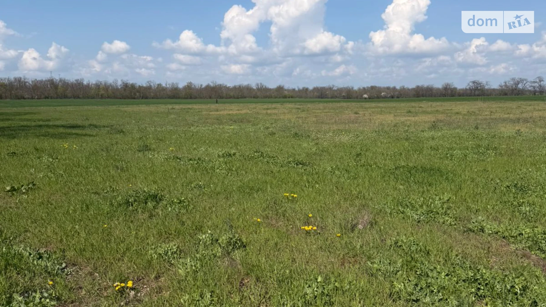 Продается земельный участок 2.29 соток в Одесской области, цена: 690000 $ - фото 3