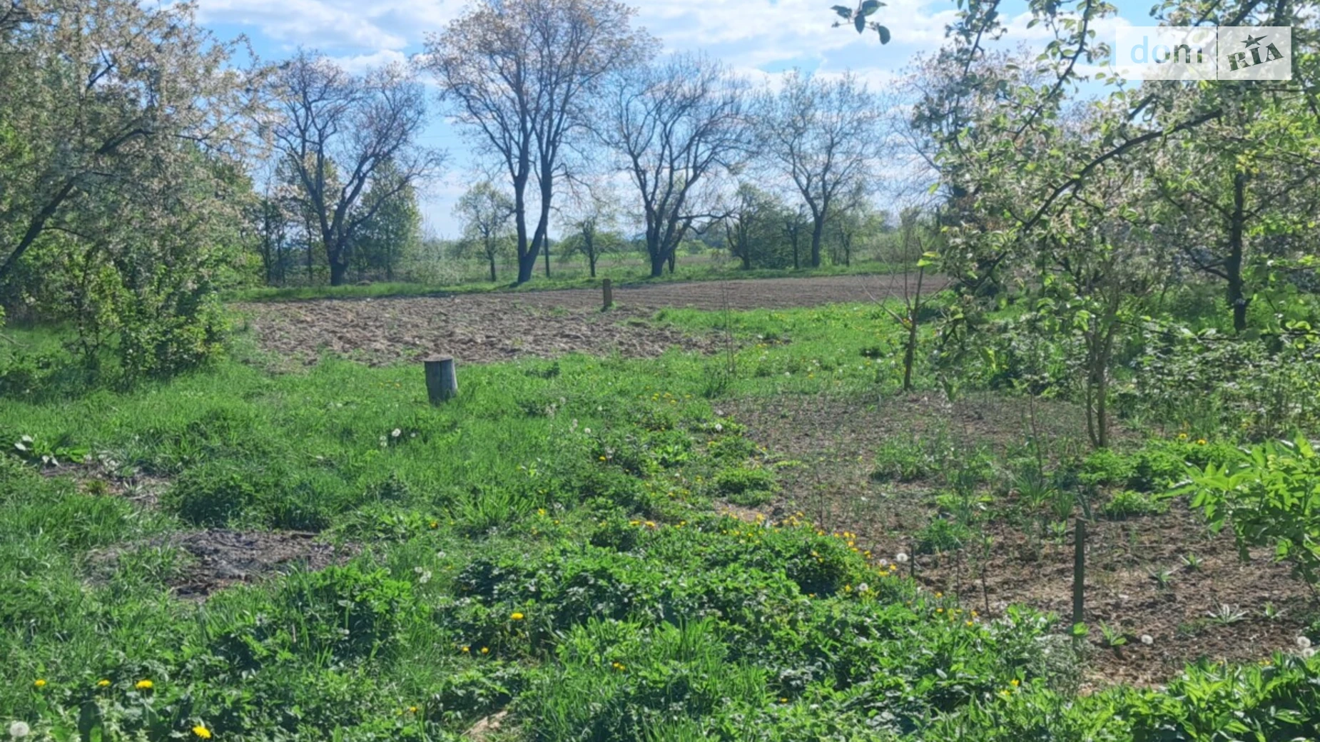 Продается одноэтажный дом 190 кв. м с гаражом, цена: 42000 € - фото 3