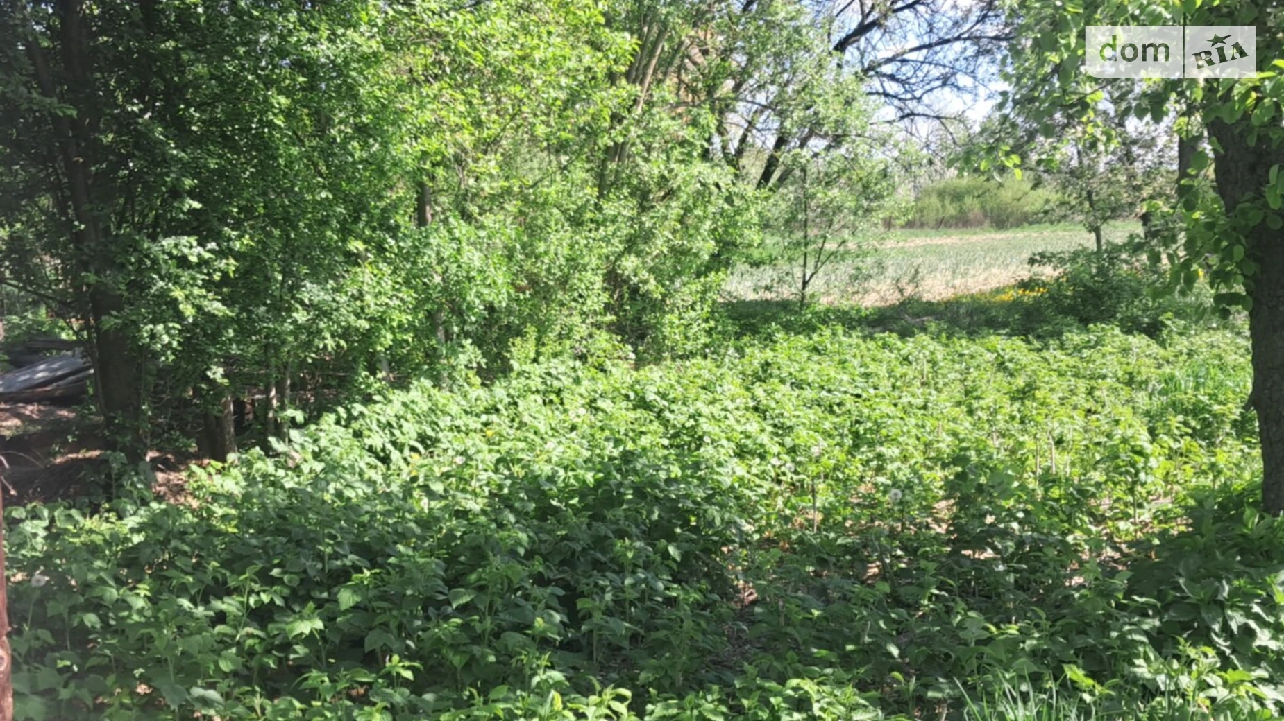 Продается одноэтажный дом 190 кв. м с гаражом, цена: 42000 € - фото 4