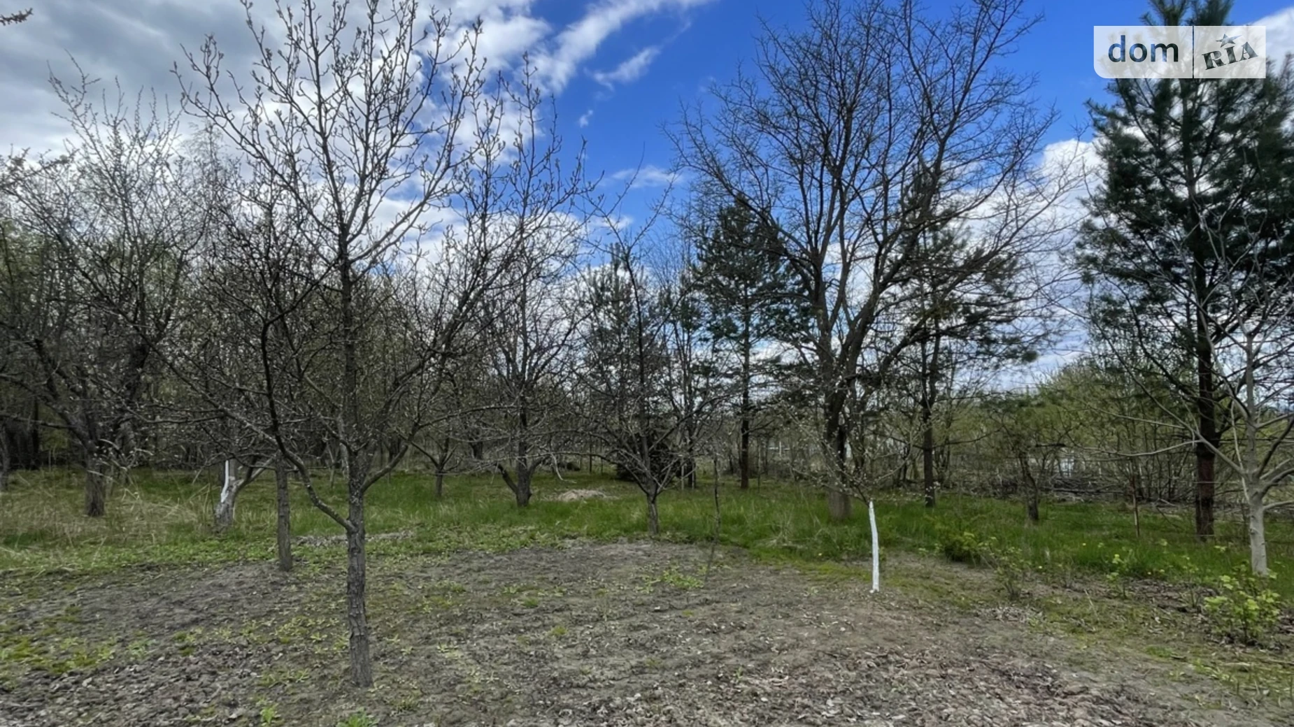 ул. Центральная Тирановка, цена: 8000 $ - фото 3