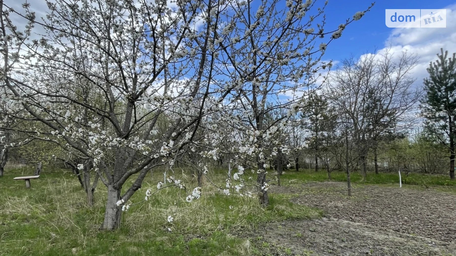 ул. Центральная Тирановка, цена: 8000 $ - фото 4