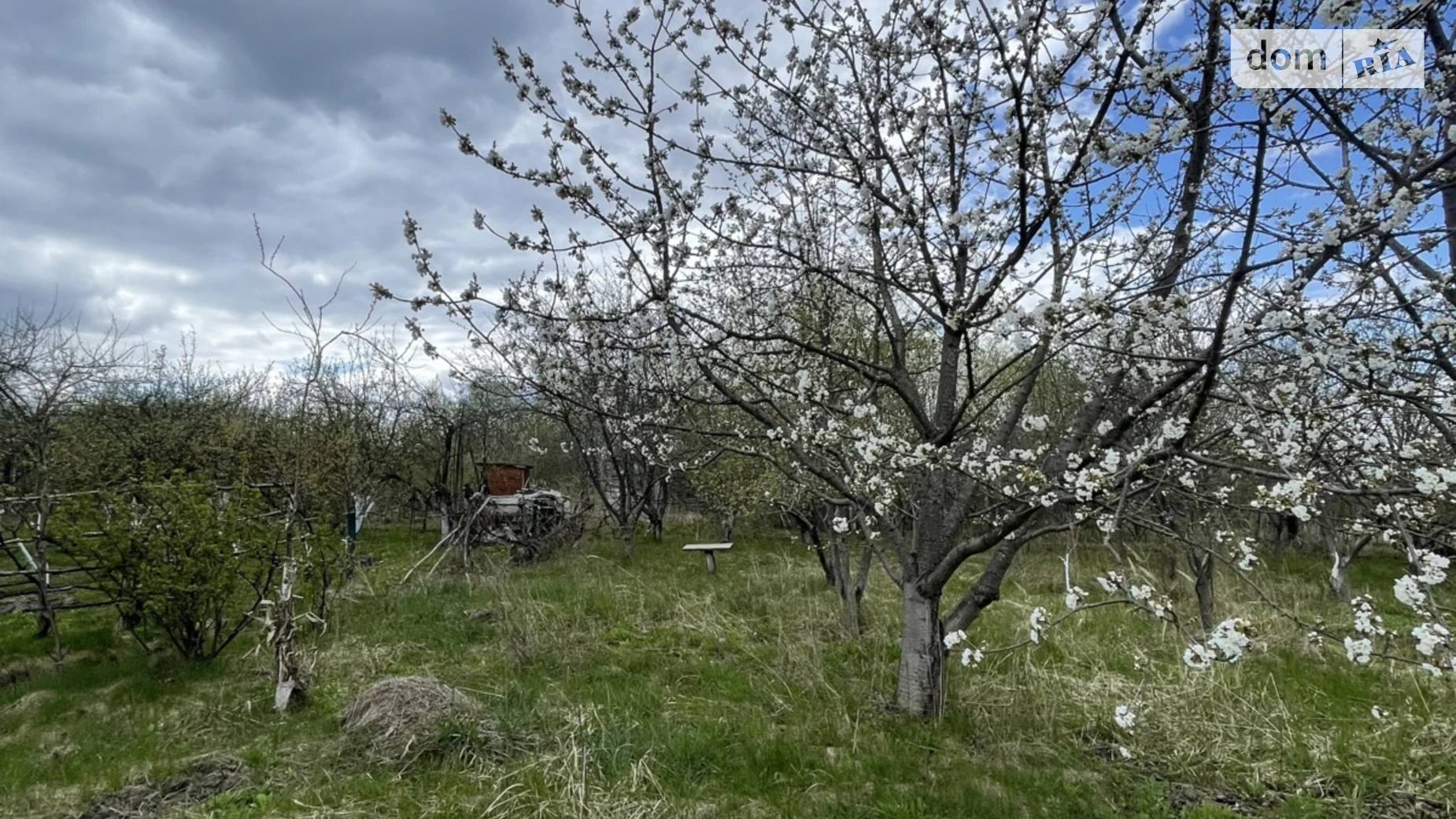 ул. Центральная Тирановка, цена: 8000 $ - фото 5